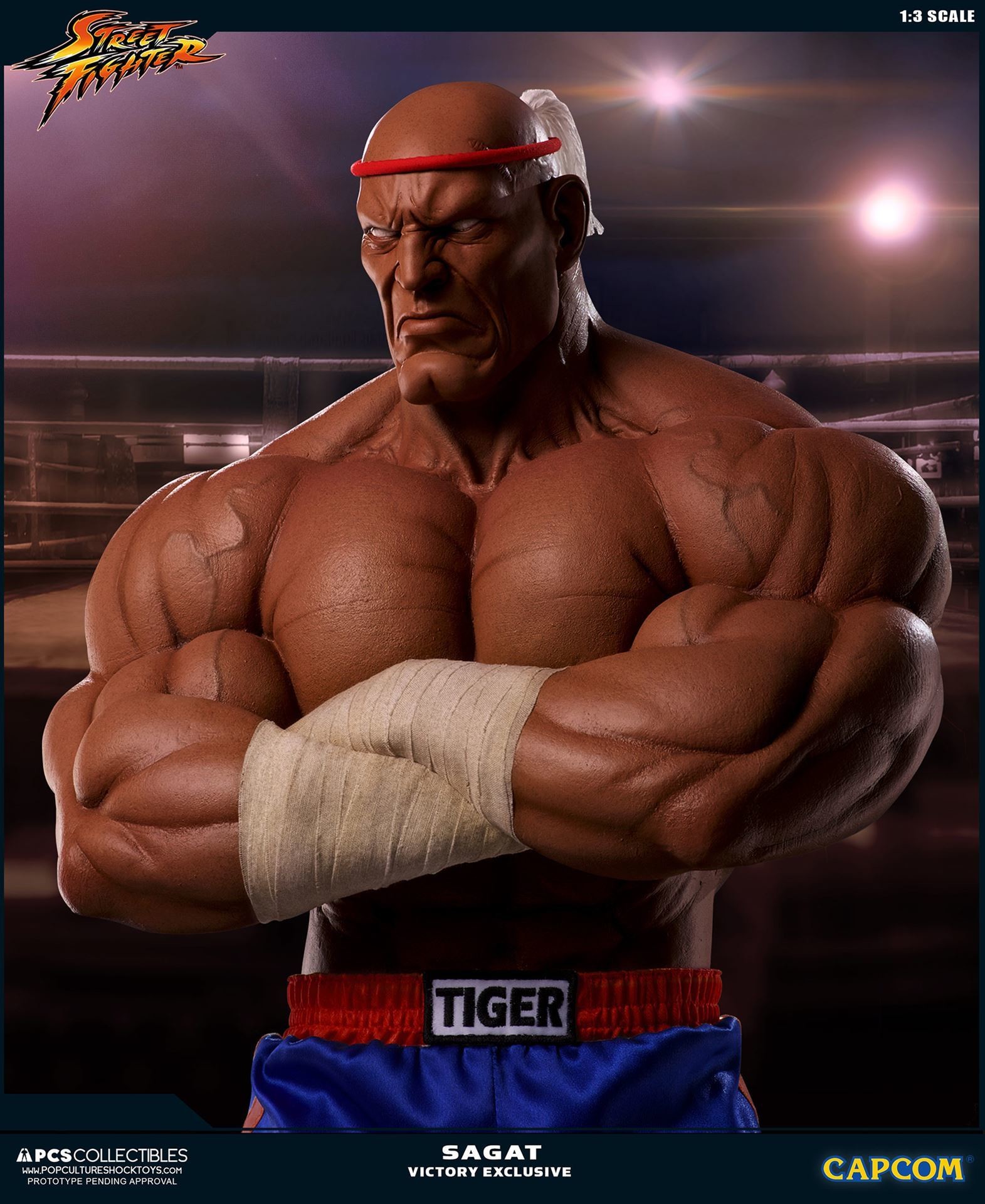 Street Fighter II V - Sagat - Mixed Media - 1/3 - PCS Exclusive, Victory (Premium Collectibles Studio) photo 5
