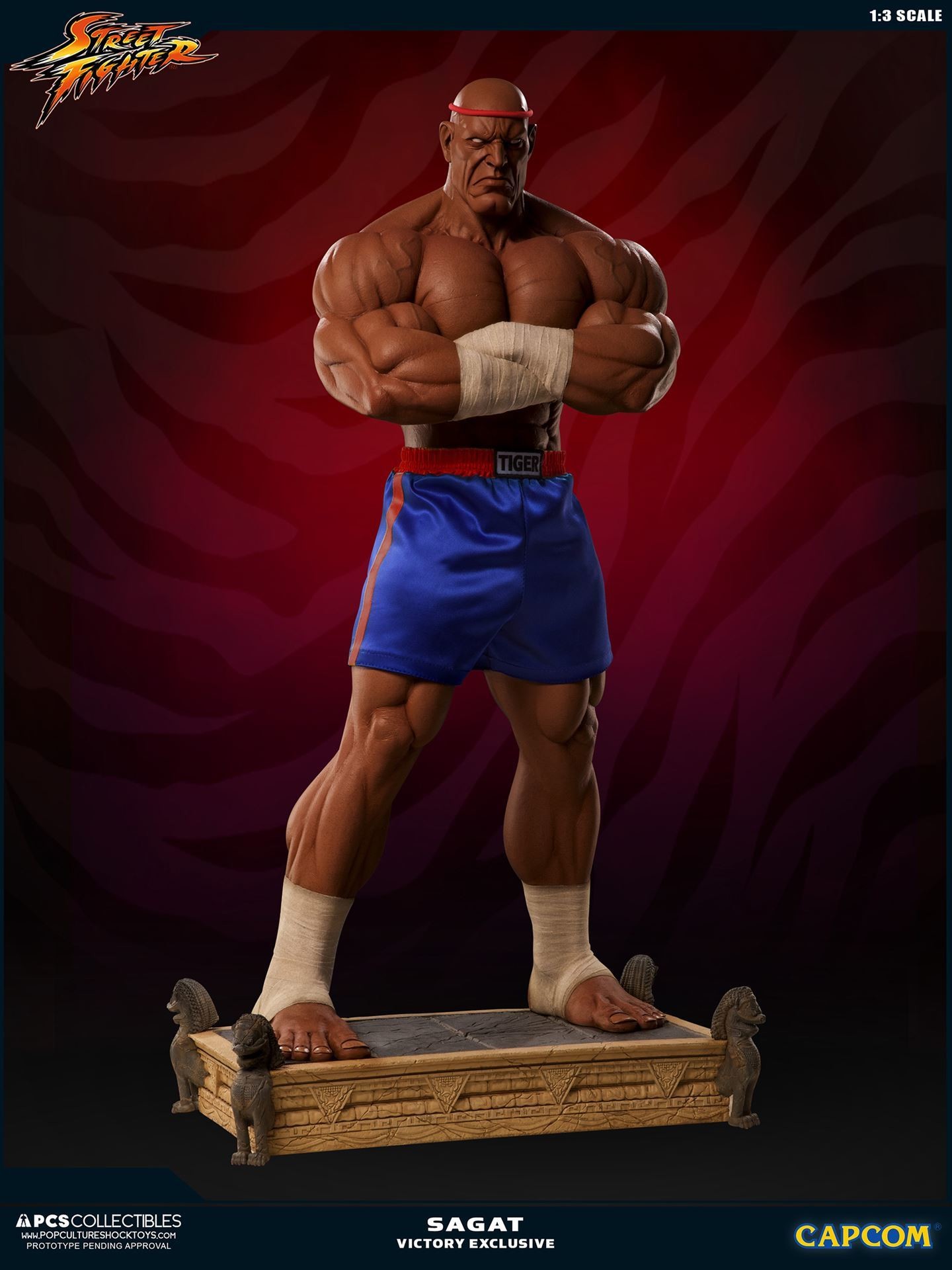 Street Fighter II V - Sagat - Mixed Media - 1/3 - PCS Exclusive, Victory (Premium Collectibles Studio) photo 6