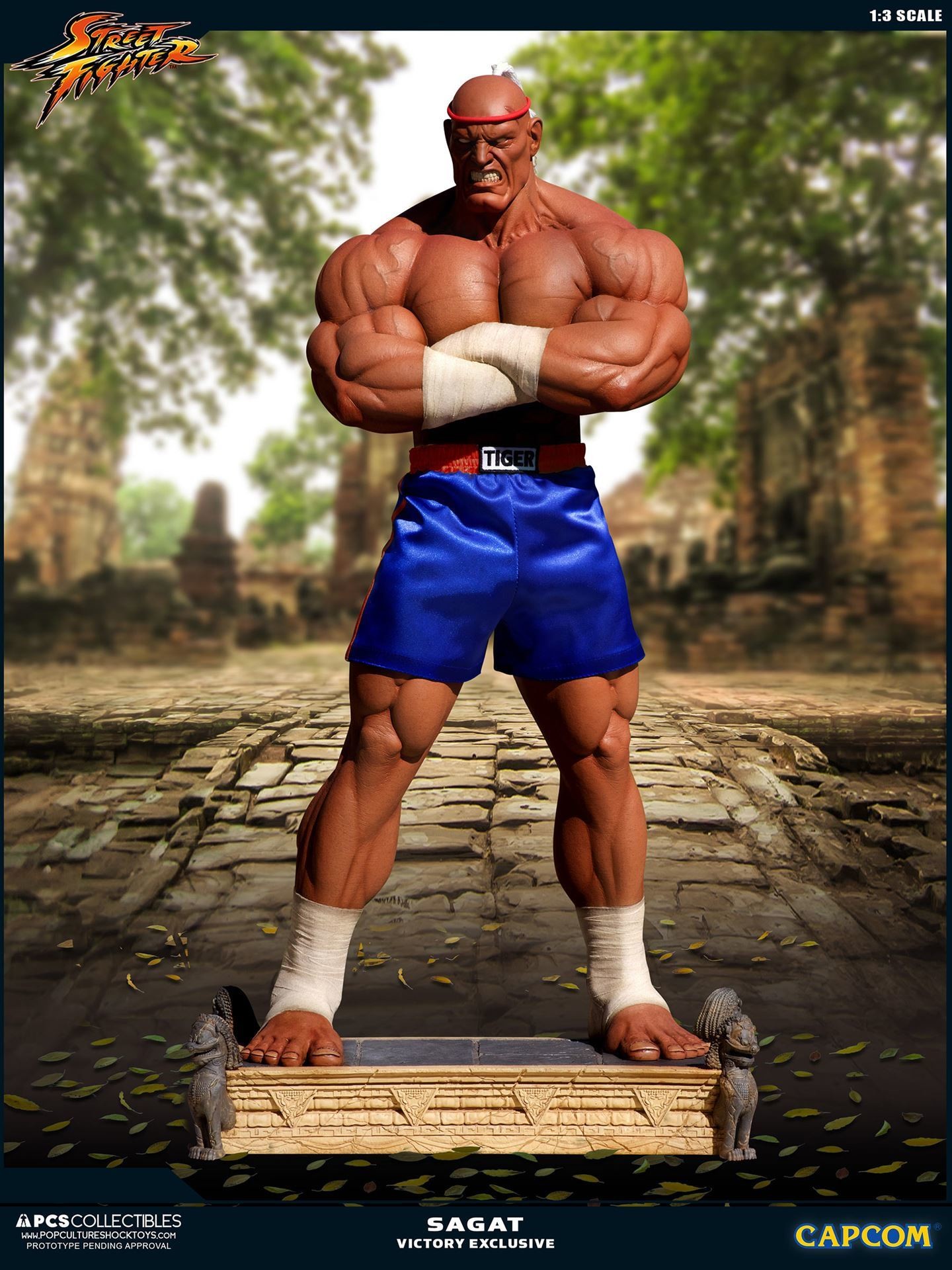 Street Fighter II V - Sagat - Mixed Media - 1/3 - PCS Exclusive, Victory (Premium Collectibles Studio) photo 9