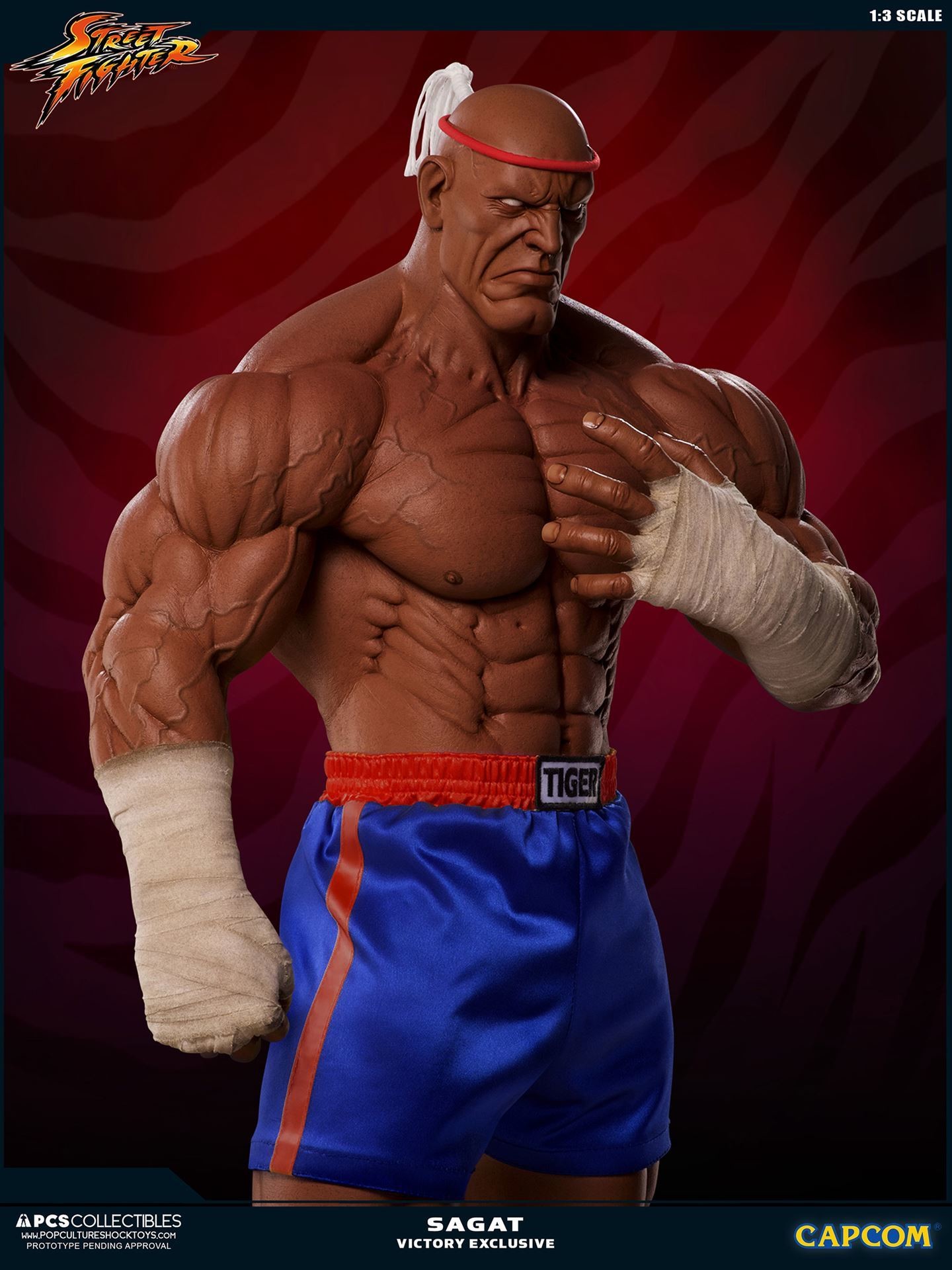 Street Fighter II V - Sagat - Mixed Media - 1/3 - PCS Exclusive, Victory (Premium Collectibles Studio) photo 13