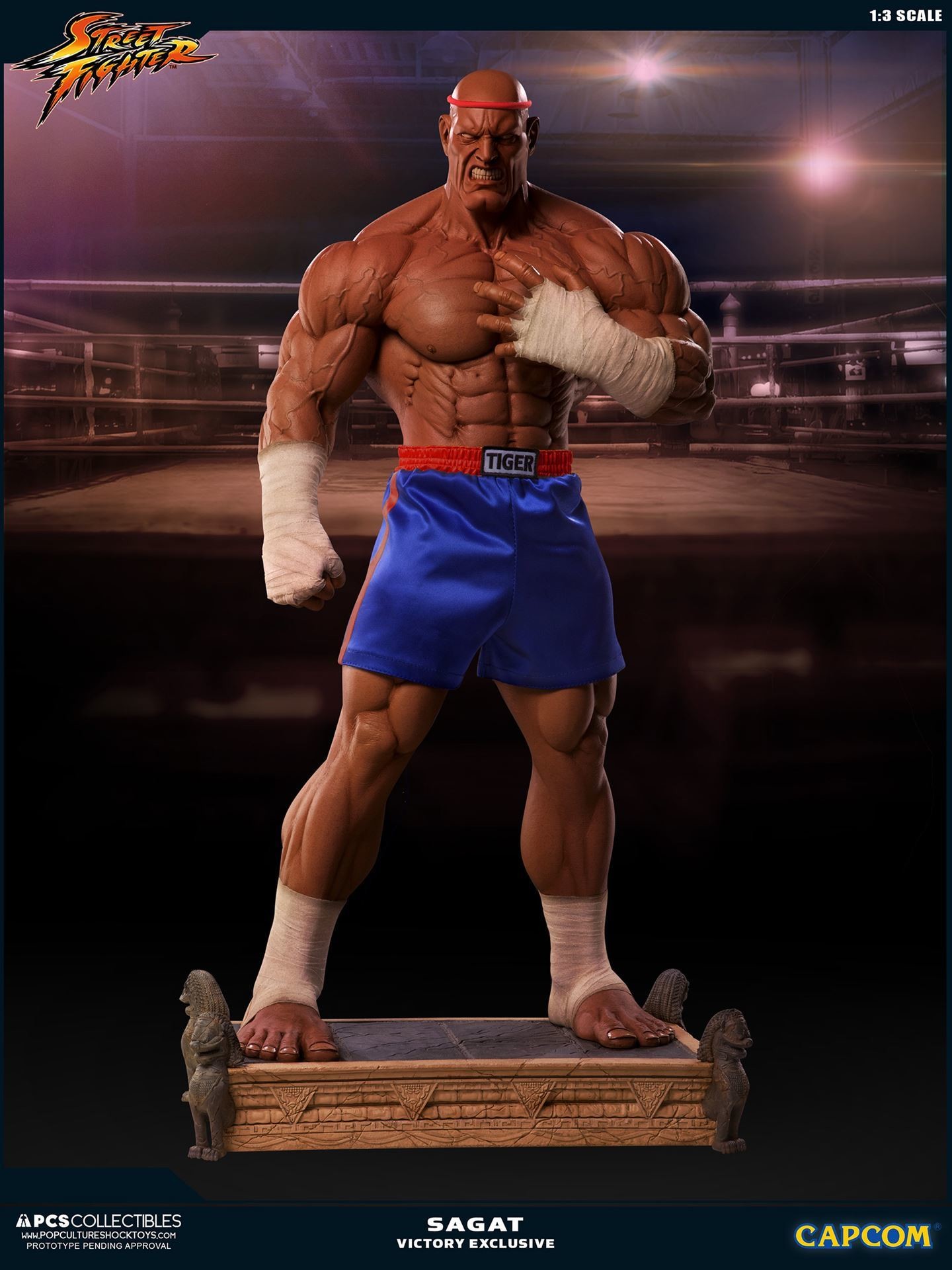Street Fighter II V - Sagat - Mixed Media - 1/3 - PCS Exclusive, Victory (Premium Collectibles Studio) photo 14