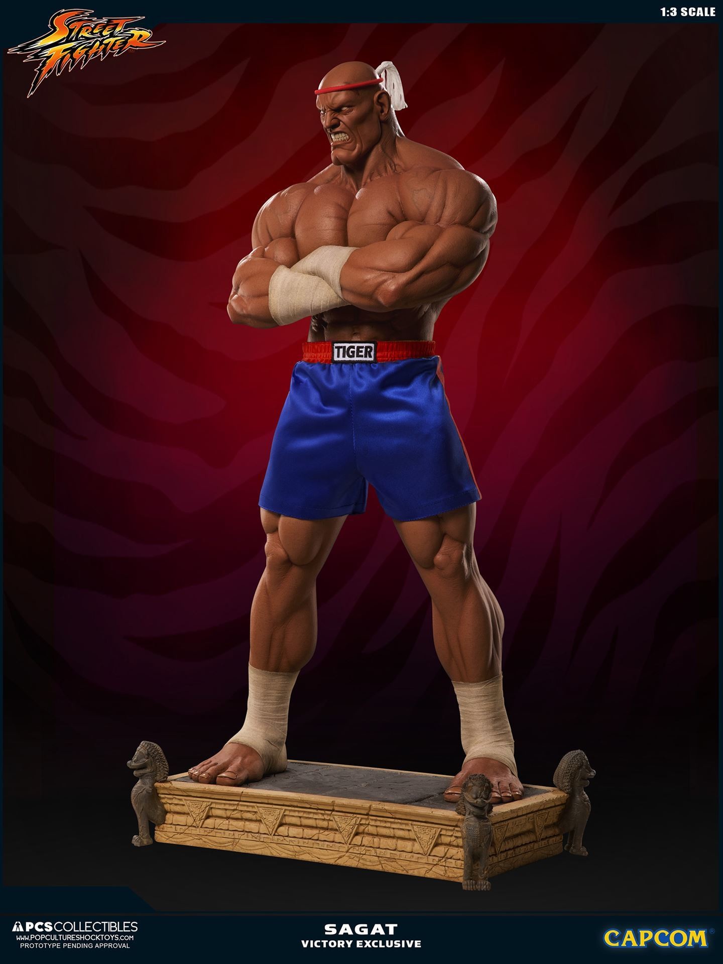 Street Fighter II V - Sagat - Mixed Media - 1/3 - PCS Exclusive, Victory (Premium Collectibles Studio) photo 12