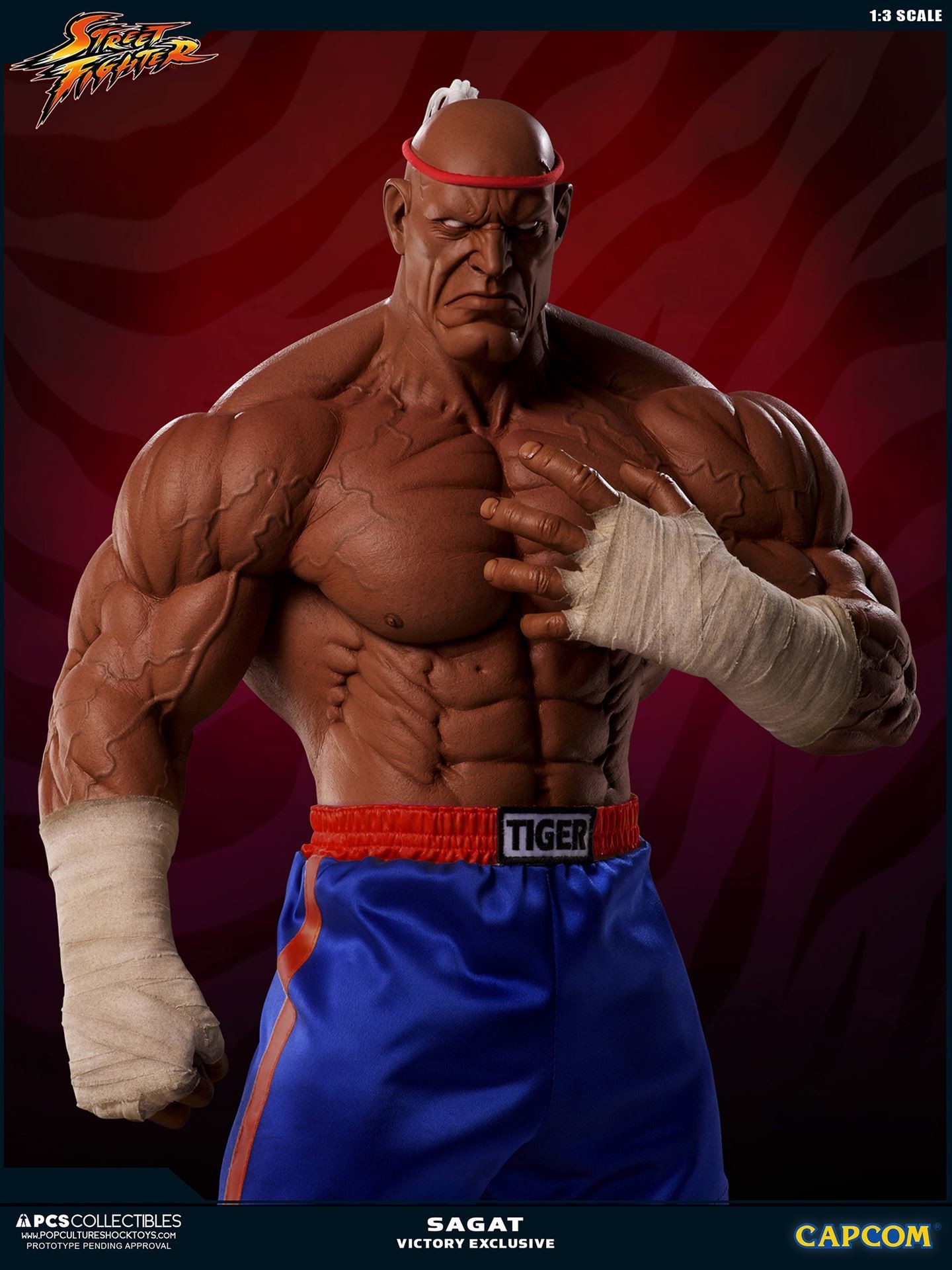 Street Fighter II V - Sagat - Mixed Media - 1/3 - PCS Exclusive, Victory (Premium Collectibles Studio) photo 15