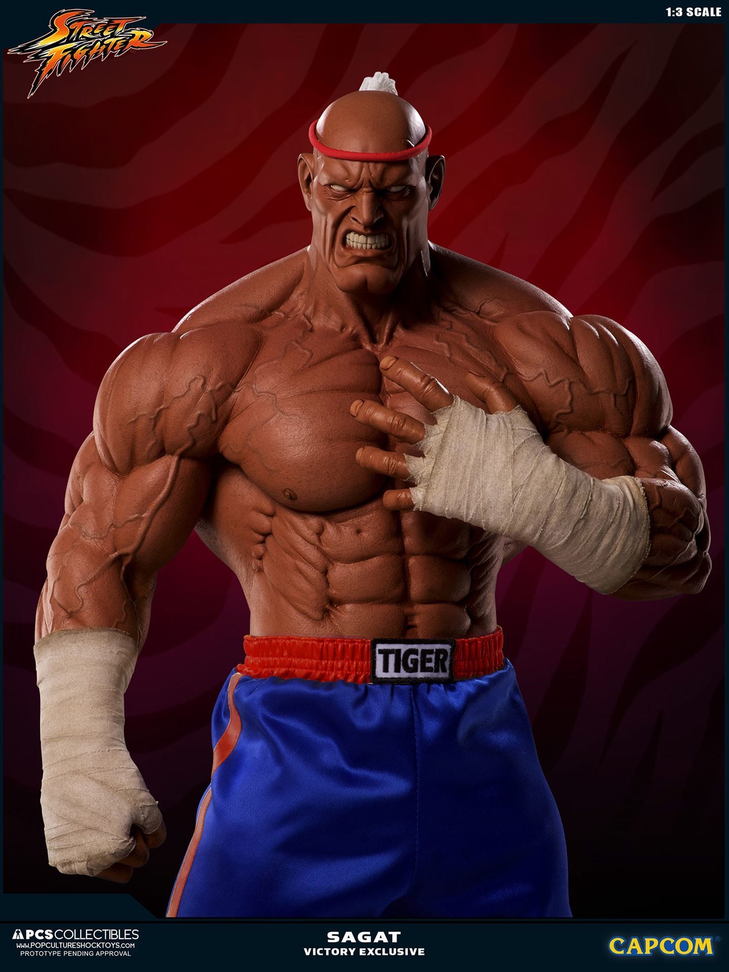 Street Fighter II V - Sagat - Mixed Media - 1/3 - PCS Exclusive, Victory (Premium Collectibles Studio) photo 18