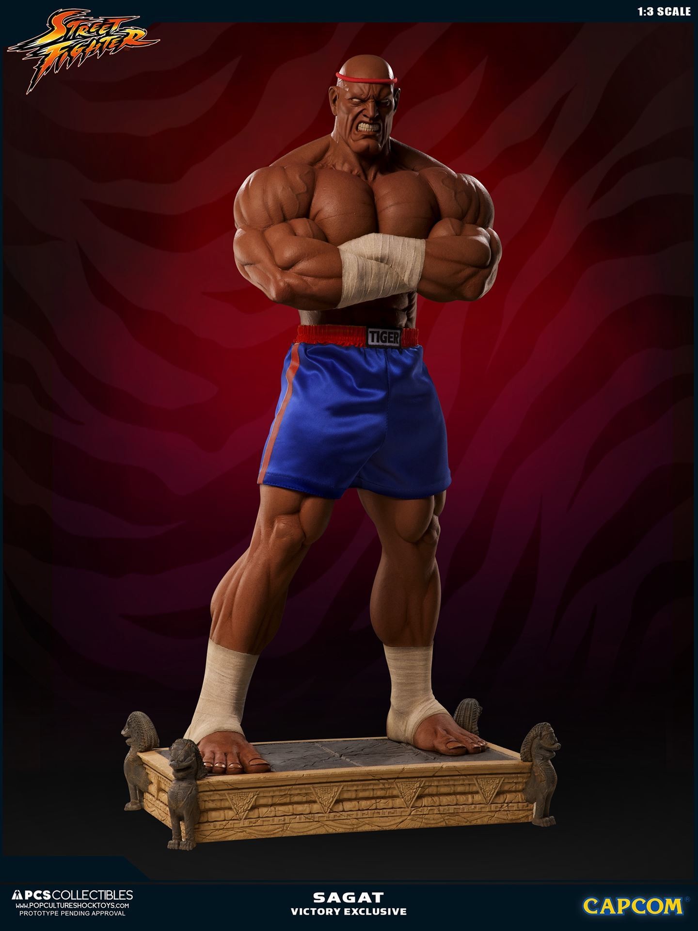 Street Fighter II V - Sagat - Mixed Media - 1/3 - PCS Exclusive, Victory (Premium Collectibles Studio) photo 19