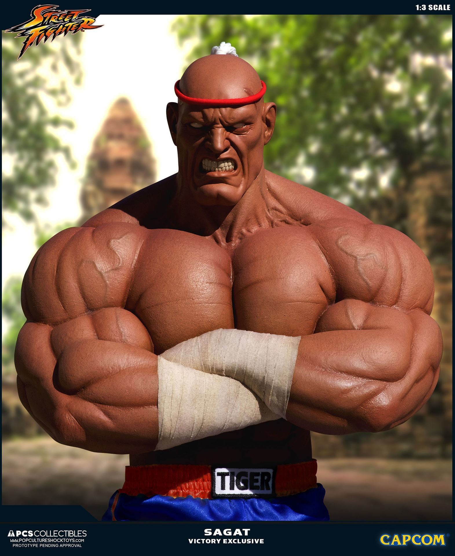 Street Fighter II V - Sagat - Mixed Media - 1/3 - PCS Exclusive, Victory (Premium Collectibles Studio) photo 20