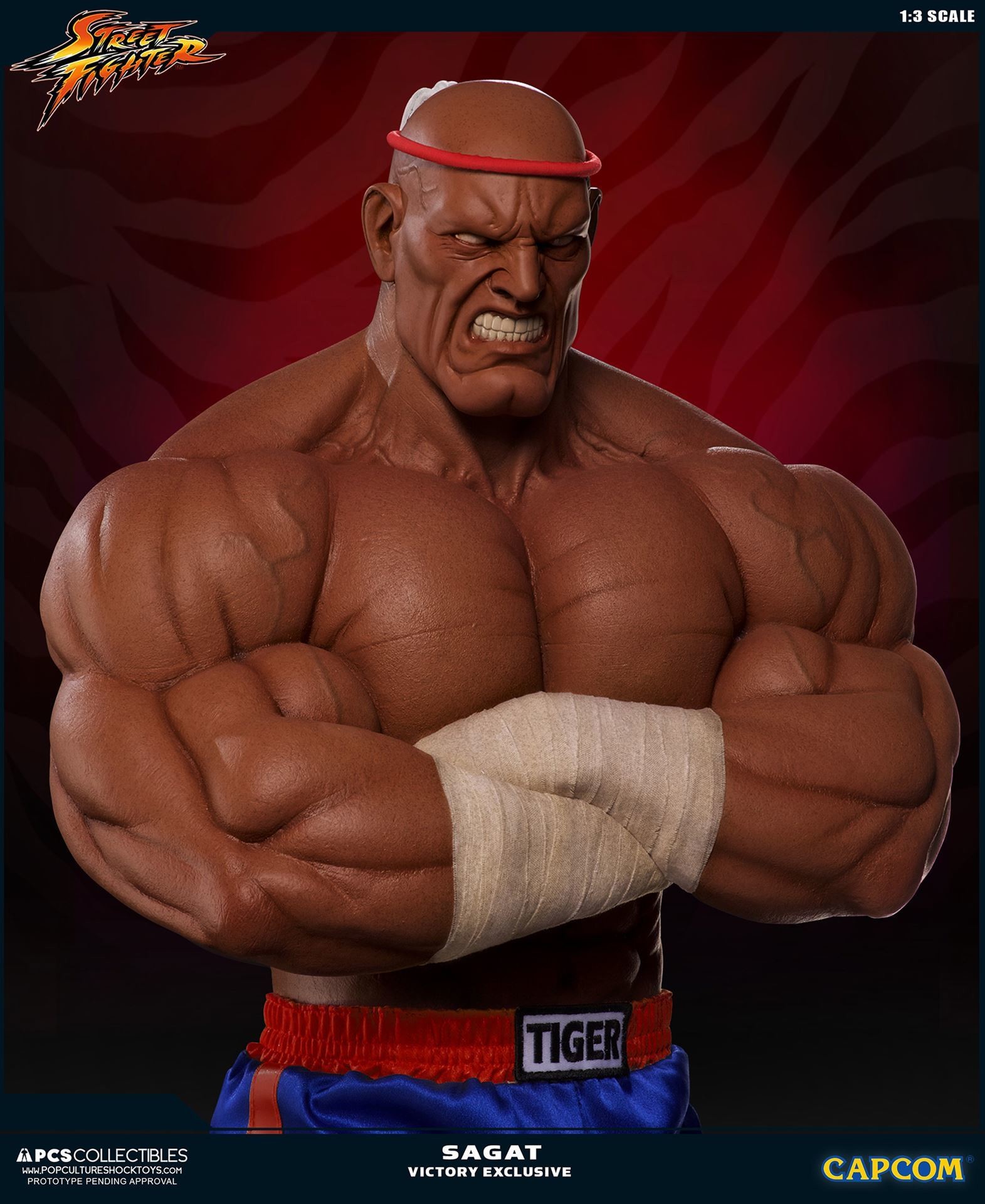 Street Fighter II V - Sagat - Mixed Media - 1/3 - PCS Exclusive, Victory (Premium Collectibles Studio) photo 21