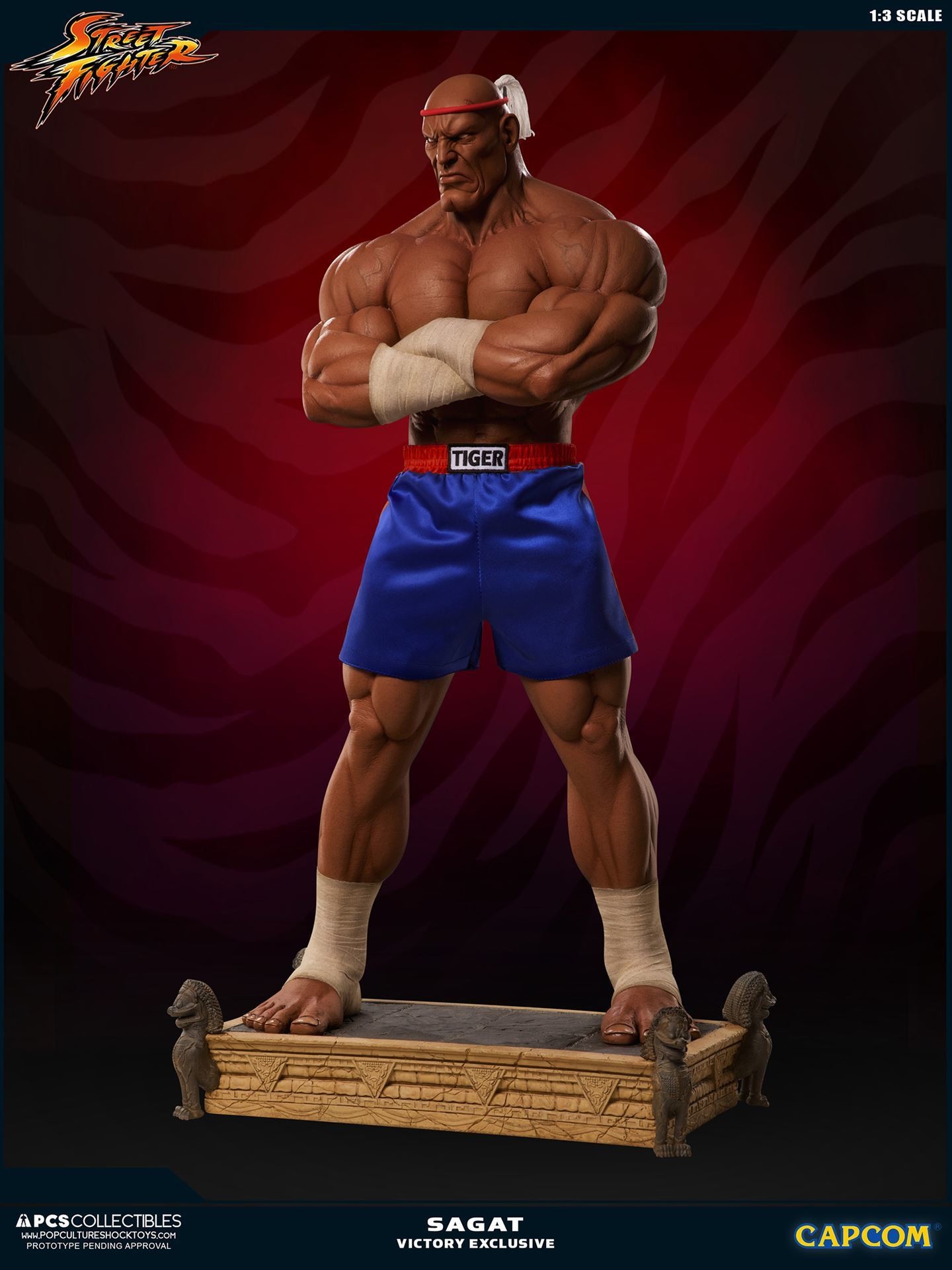 Street Fighter II V - Sagat - Mixed Media - 1/3 - PCS Exclusive, Victory (Premium Collectibles Studio) photo 22
