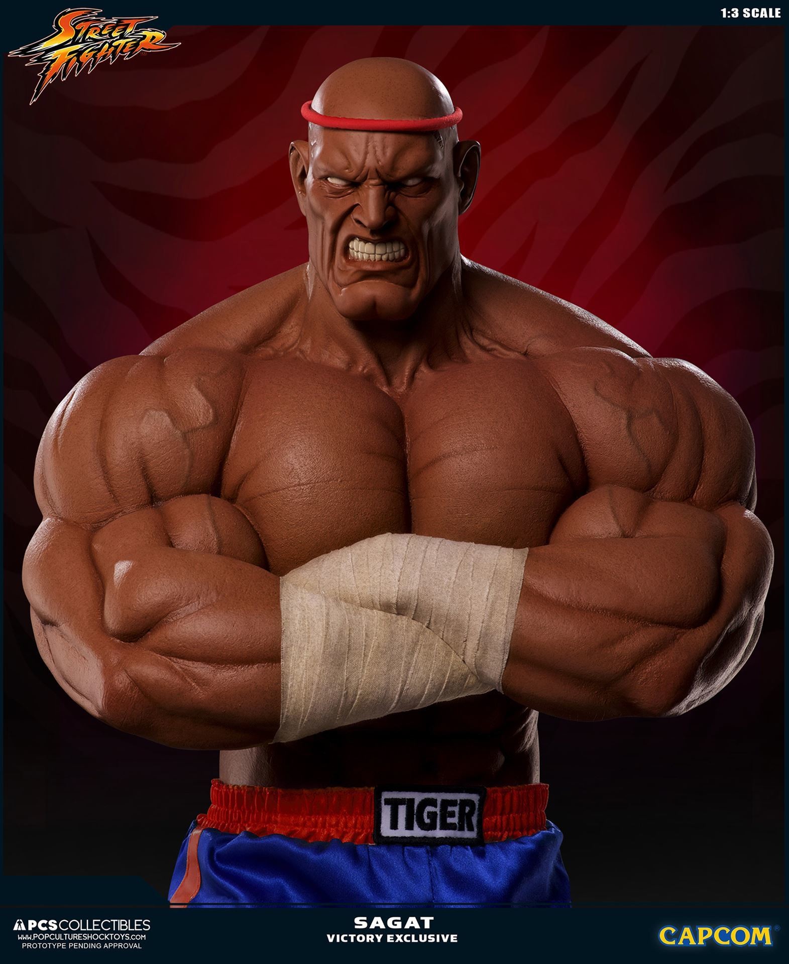 Street Fighter II V - Sagat - Mixed Media - 1/3 - PCS Exclusive, Victory (Premium Collectibles Studio) photo 23