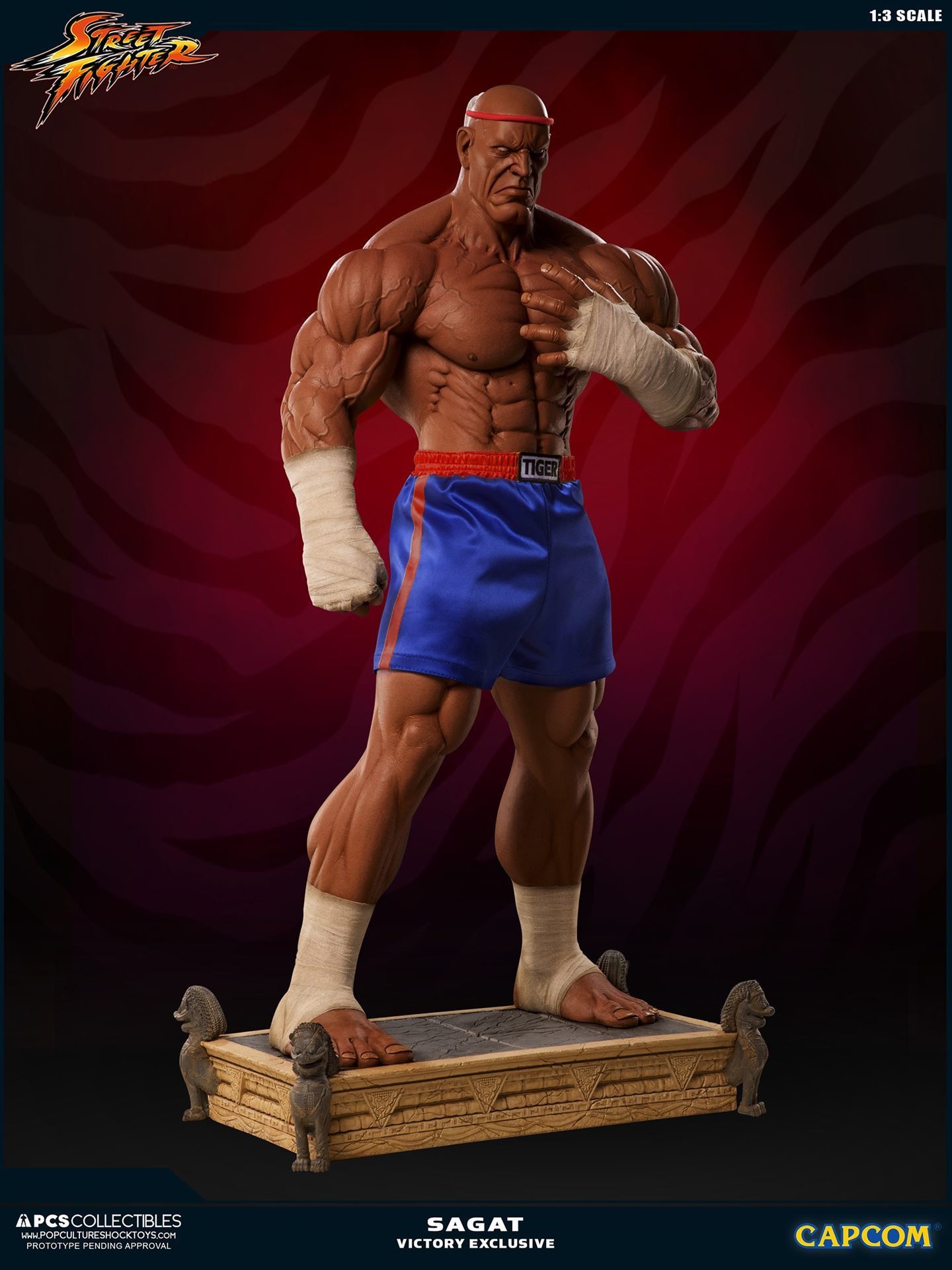 Street Fighter II V - Sagat - Mixed Media - 1/3 - PCS Exclusive, Victory (Premium Collectibles Studio) photo 25