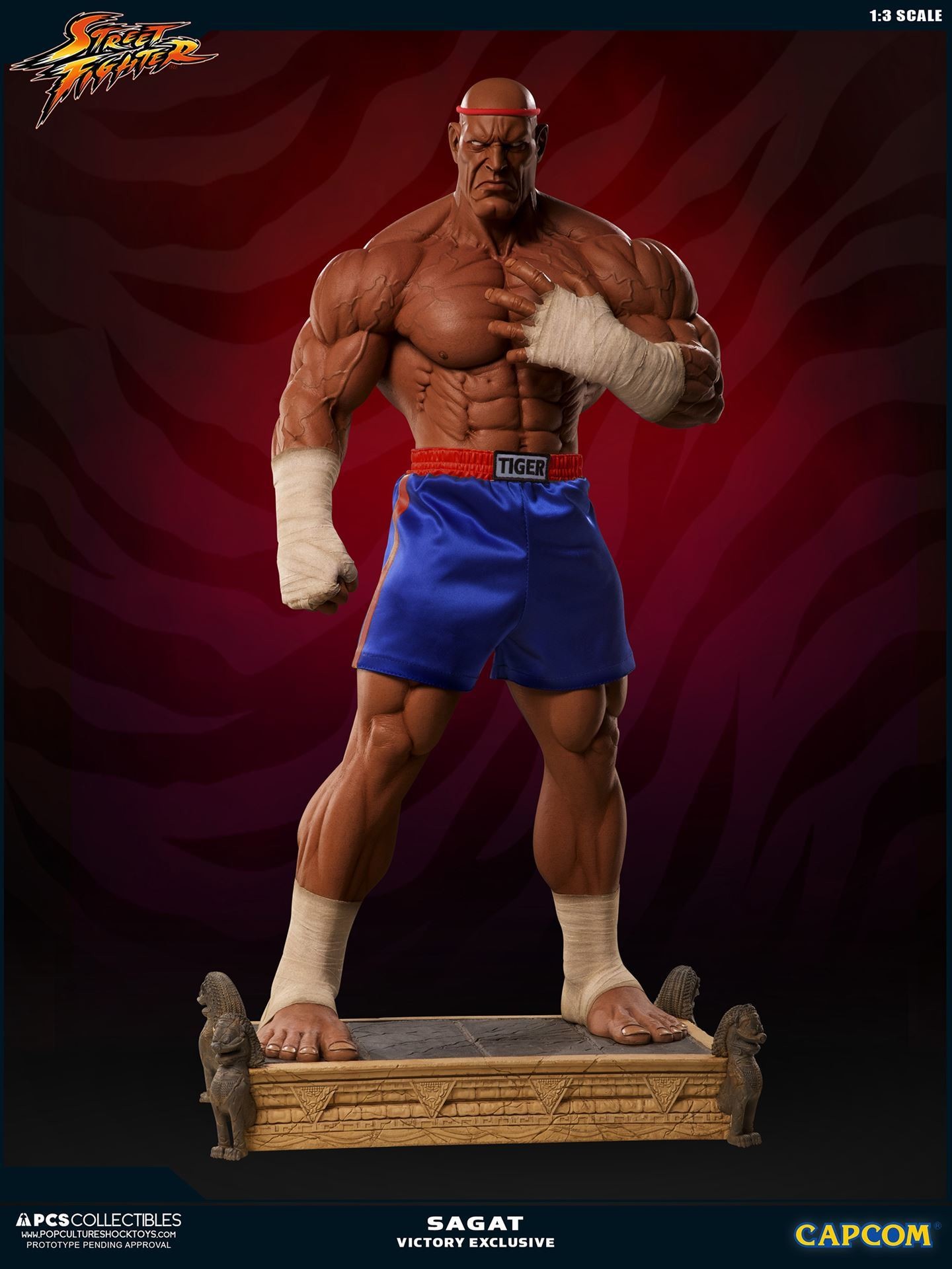 Street Fighter II V - Sagat - Mixed Media - 1/3 - PCS Exclusive, Victory (Premium Collectibles Studio) photo 26