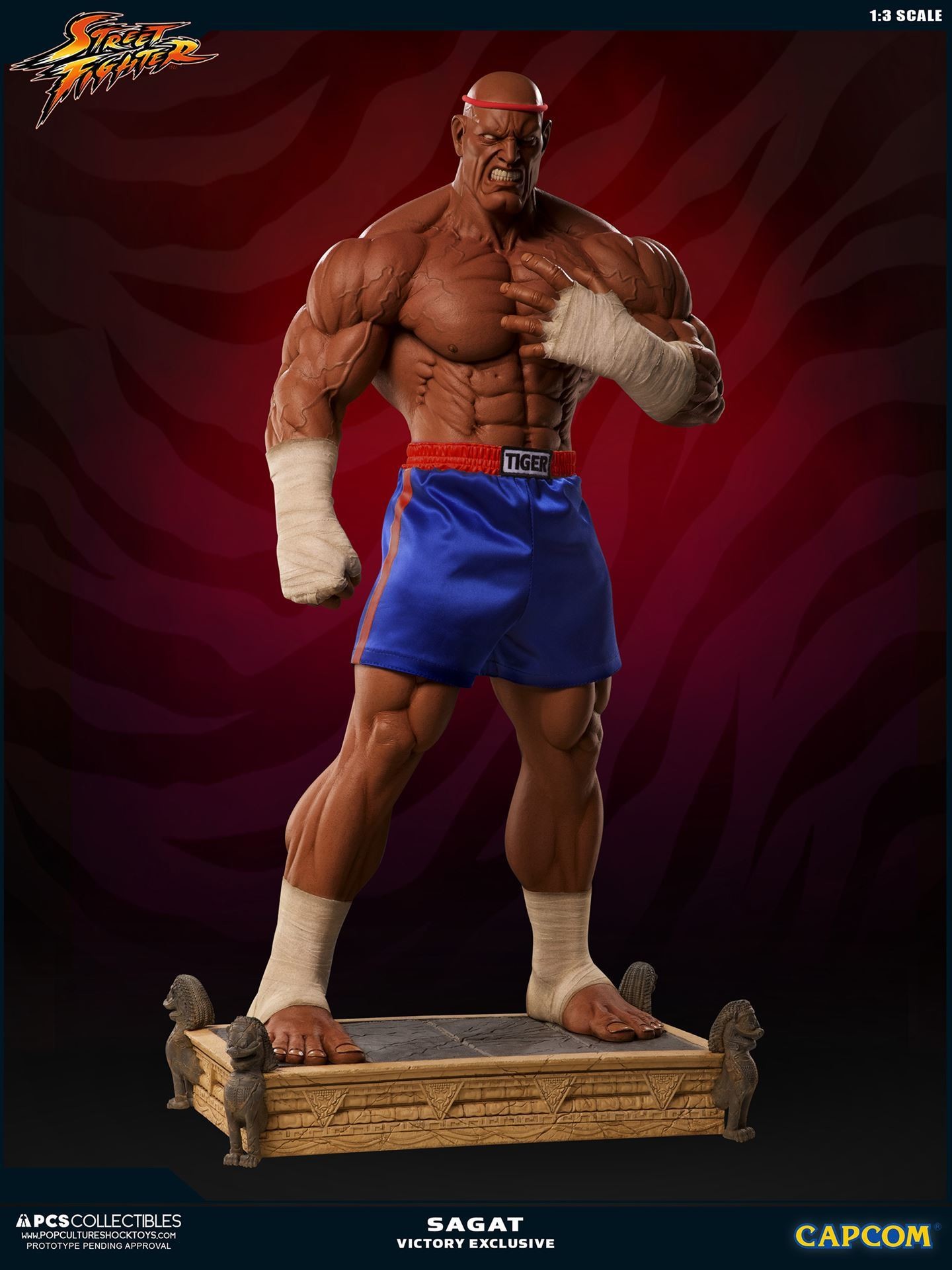 Street Fighter II V - Sagat - Mixed Media - 1/3 - PCS Exclusive, Victory (Premium Collectibles Studio) photo 27