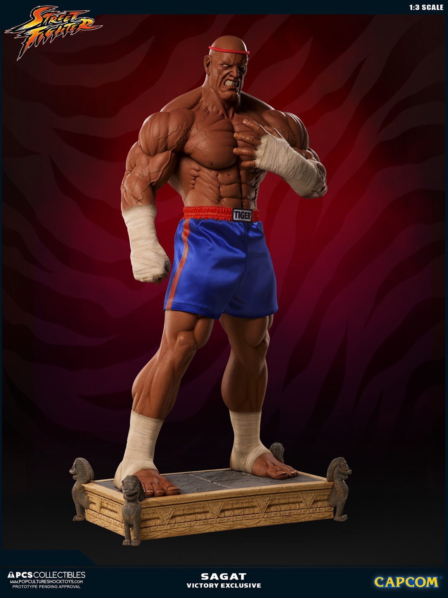 Street Fighter II V - Sagat - Mixed Media - 1/3 - PCS Exclusive, Victory (Premium Collectibles Studio) photo 28