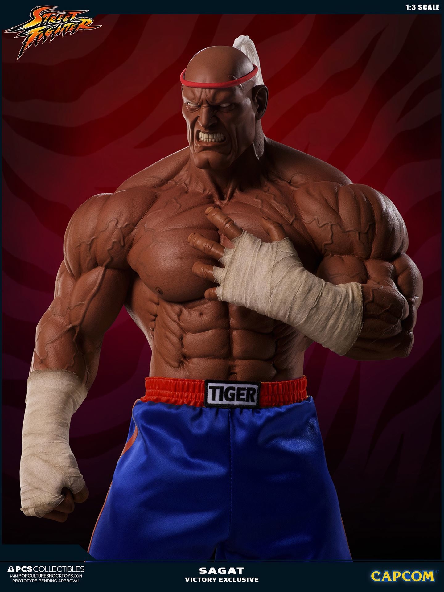 Street Fighter II V - Sagat - Mixed Media - 1/3 - PCS Exclusive, Victory (Premium Collectibles Studio) photo 31