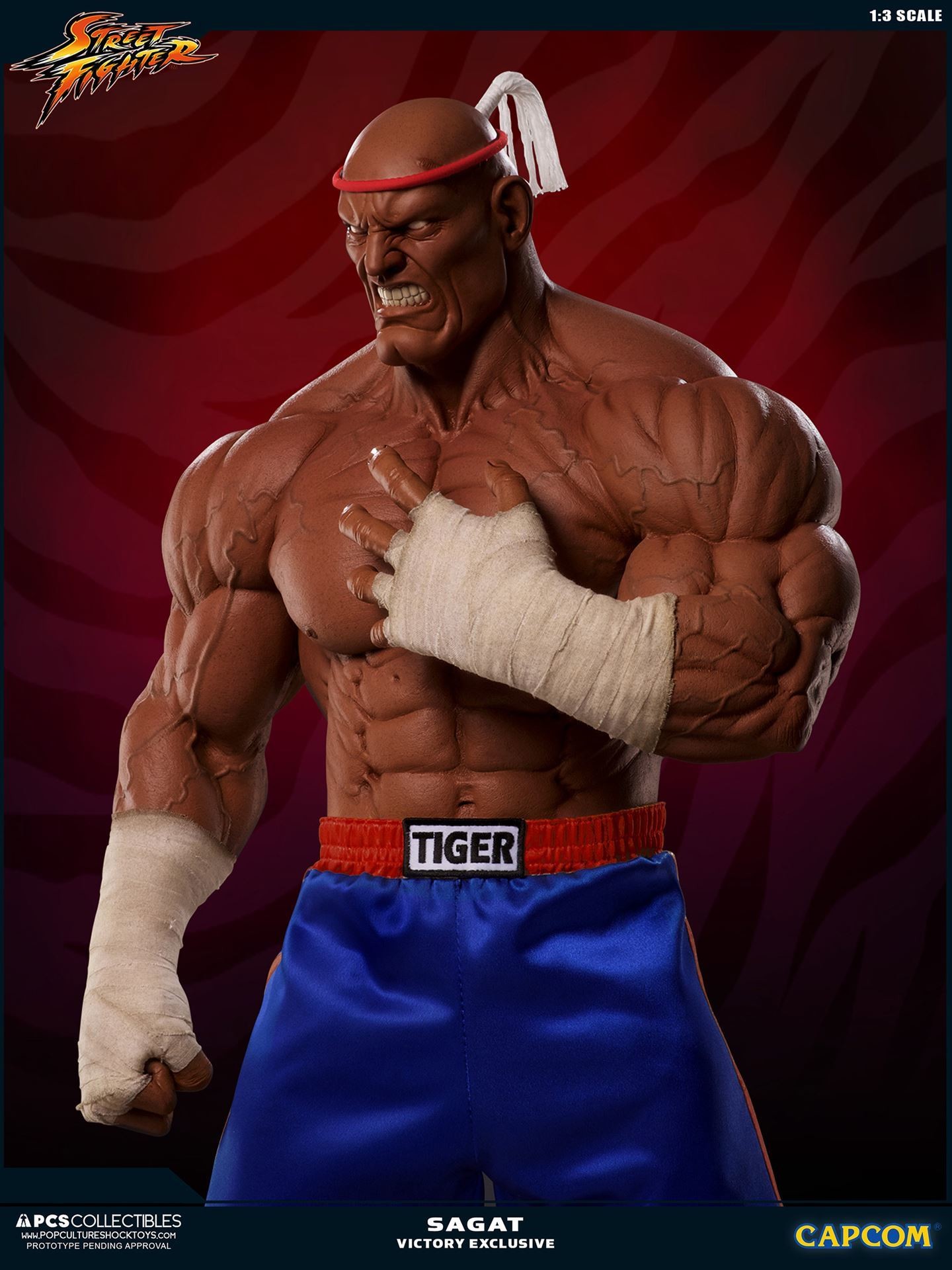 Street Fighter II V - Sagat - Mixed Media - 1/3 - PCS Exclusive, Victory (Premium Collectibles Studio) photo 32