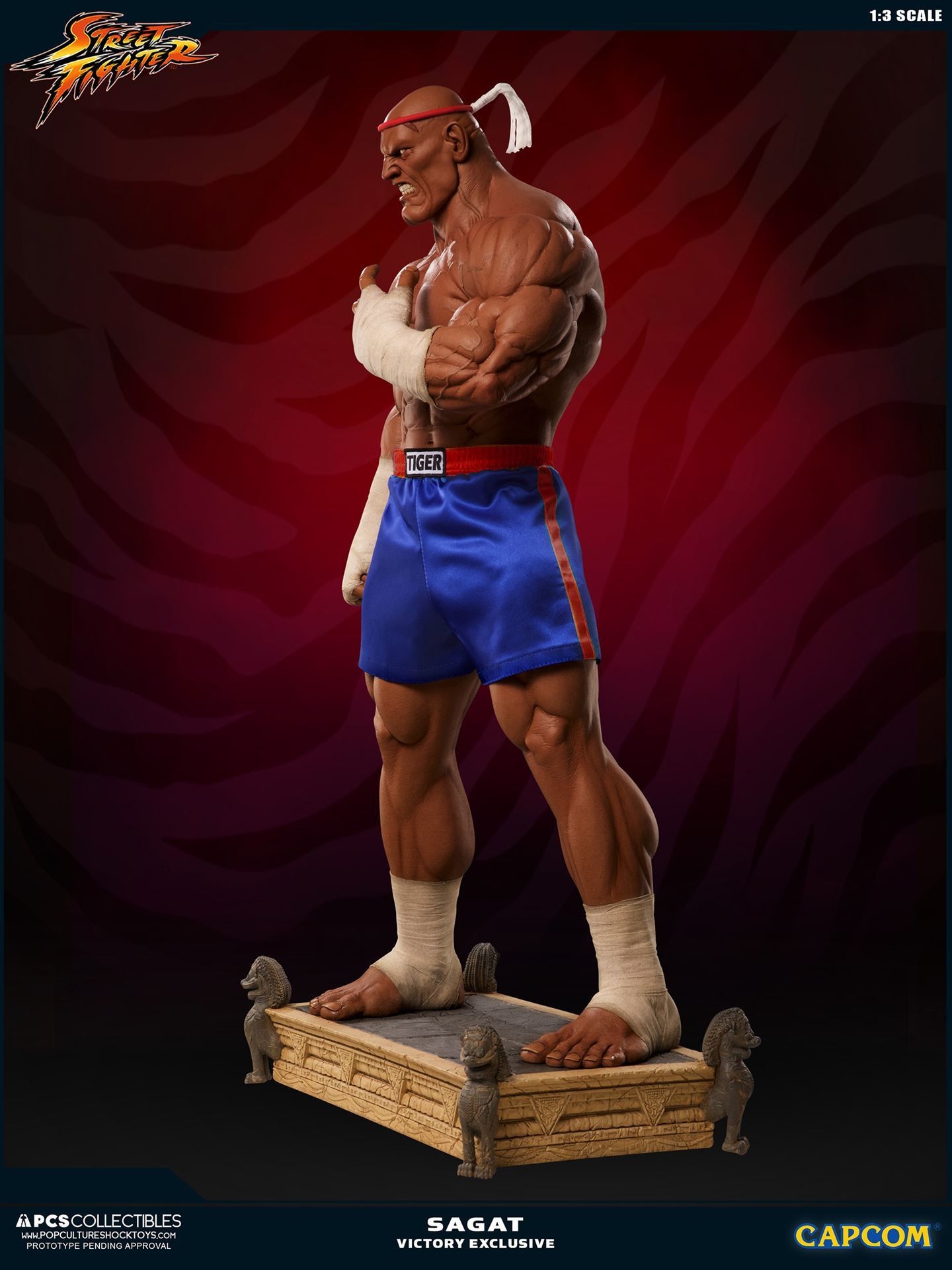 Street Fighter II V - Sagat - Mixed Media - 1/3 - PCS Exclusive, Victory (Premium Collectibles Studio) photo 33