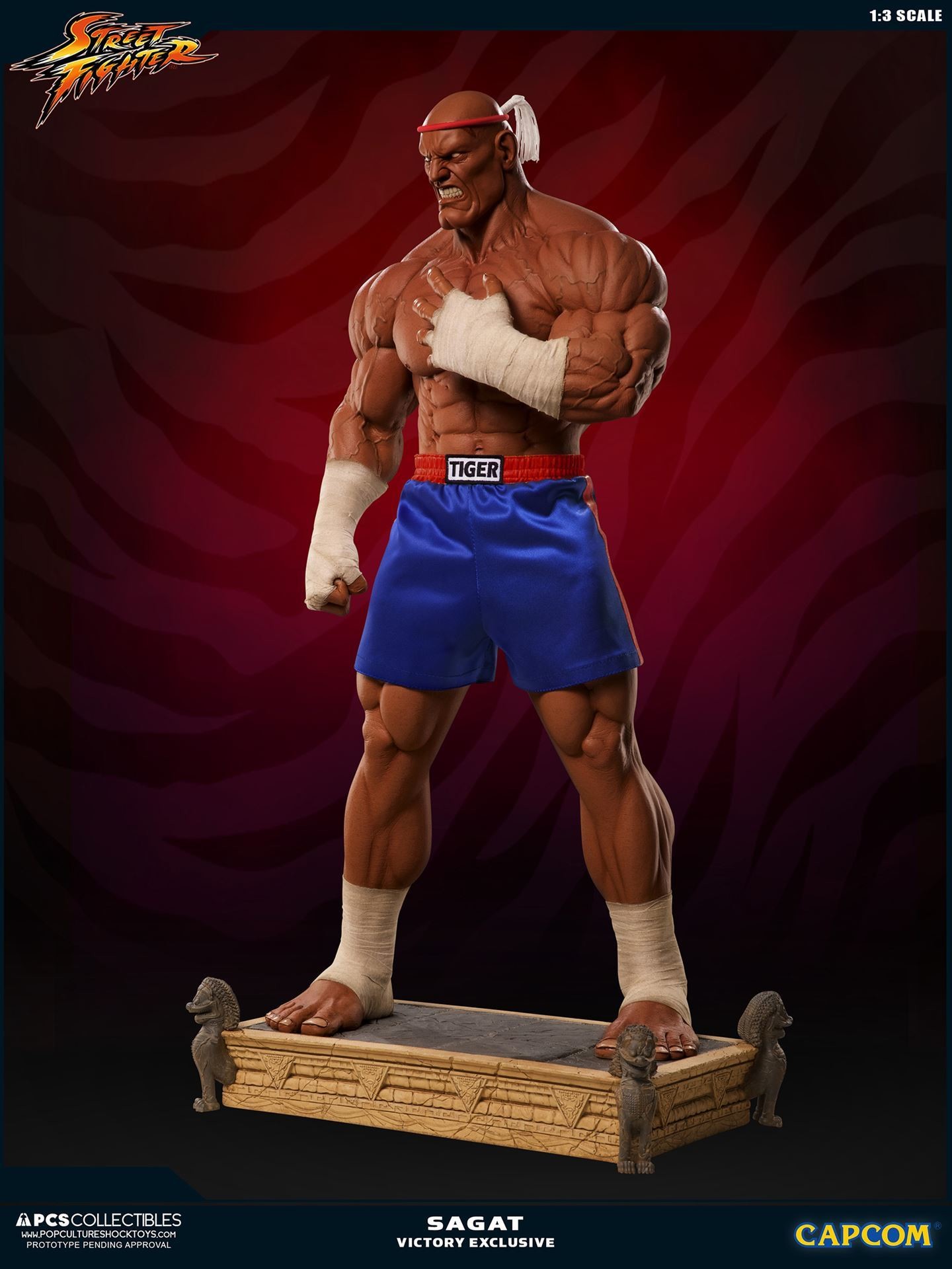 Street Fighter II V - Sagat - Mixed Media - 1/3 - PCS Exclusive, Victory (Premium Collectibles Studio) photo 35