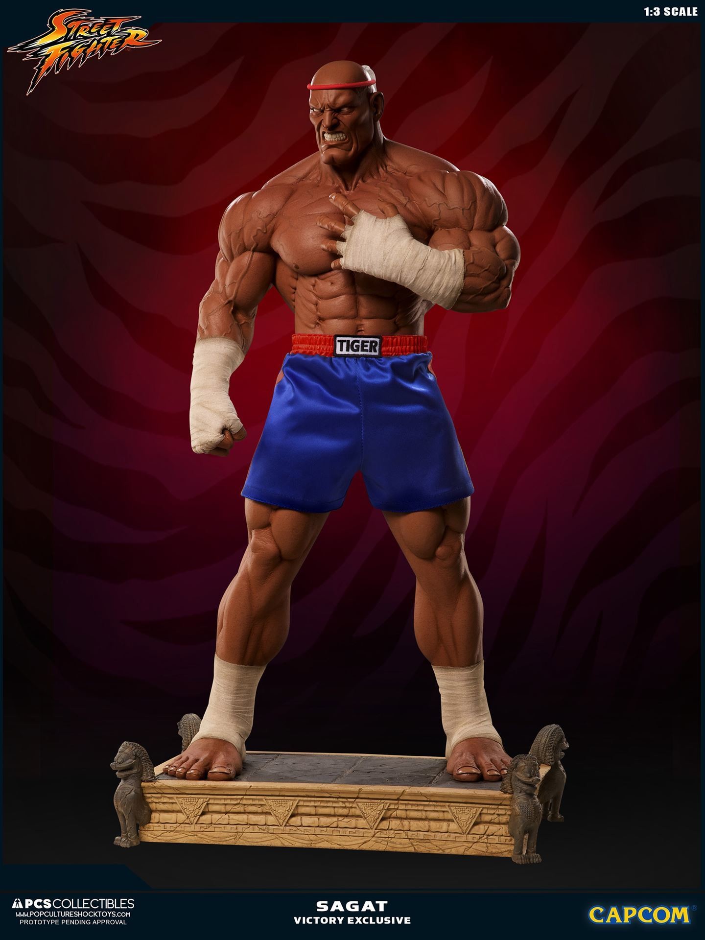 Street Fighter II V - Sagat - Mixed Media - 1/3 - PCS Exclusive, Victory (Premium Collectibles Studio) photo 36