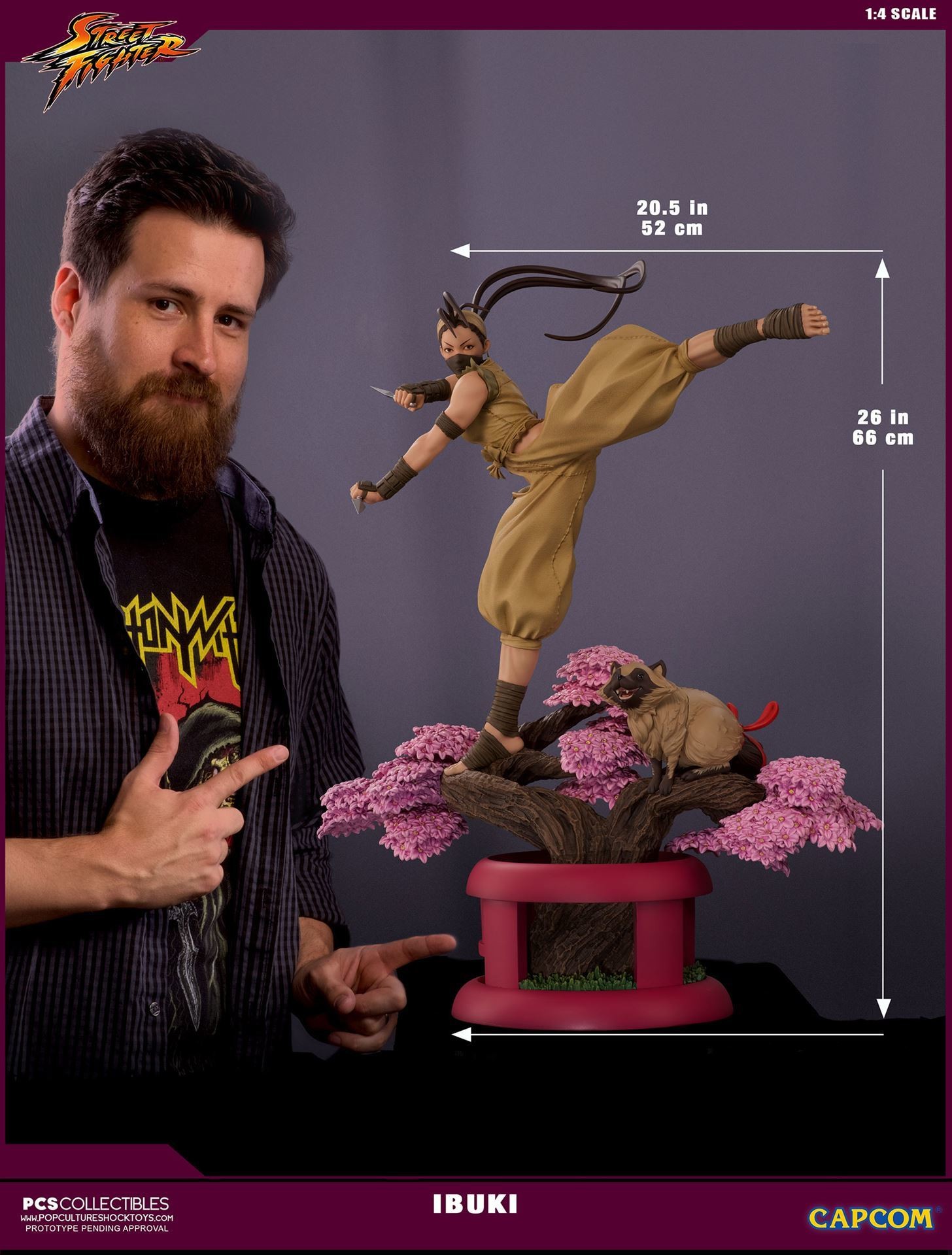 Street Fighter III: New Generation - Don-chan - Ibuki - Street Fighter Ultra - 1/4 (Premium Collectibles Studio) photo 3