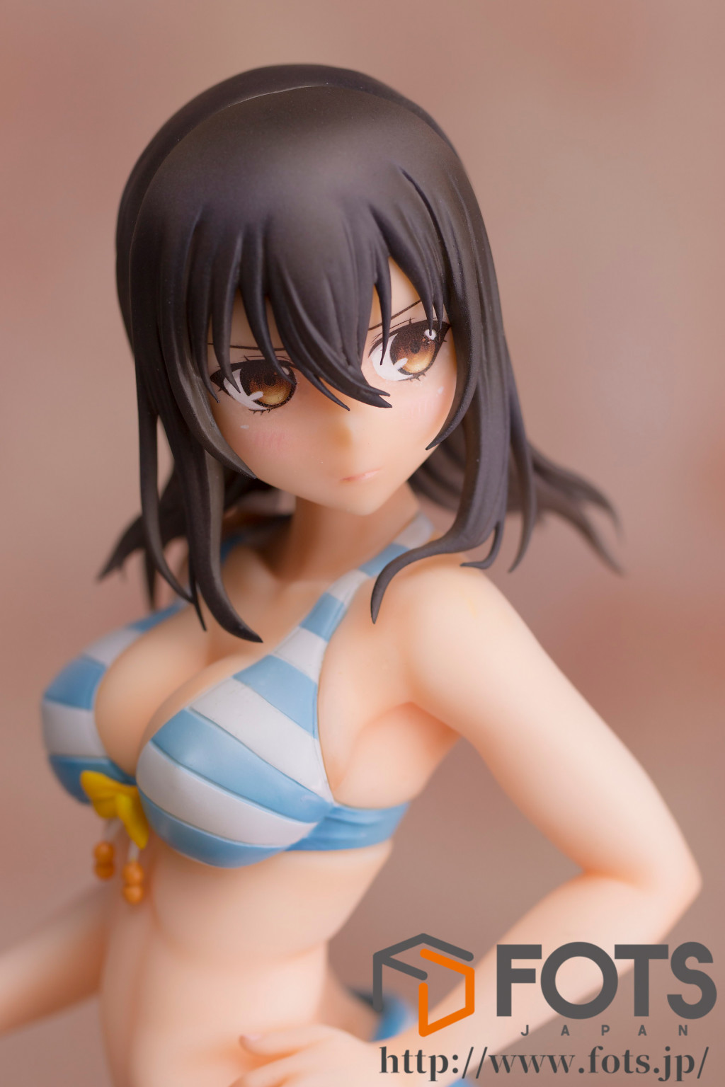 Strike the Blood - Himeragi Yukina - 1/6 - Swimsuit ver (FOTS Japan) photo 5