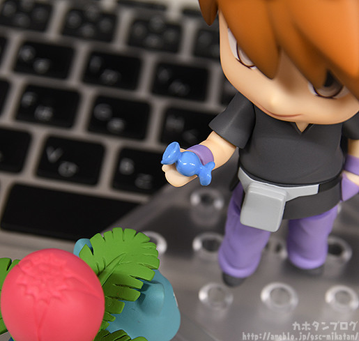 Pocket Monsters - Fushigisou - Green - Kameil - Lizardo - Nendoroid  (#998) (Good Smile Company) photo 14