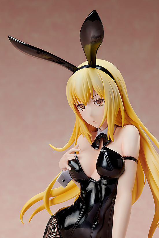 Dungeon ni Deai o Motomeru no wa Machigatteiru Darou ka Gaiden: Sword Oratoria - Ais Wallenstein - B-style - 1/4 - Bunny Ver. (FREEing) photo 6