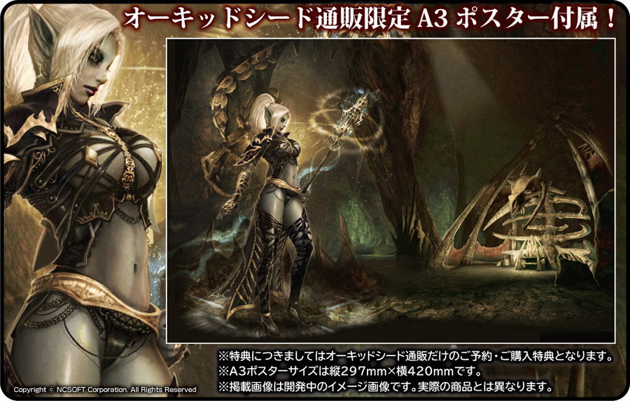Lineage II - Dark Elf - 1/7 - Limited Edition (Orchid Seed) photo 14