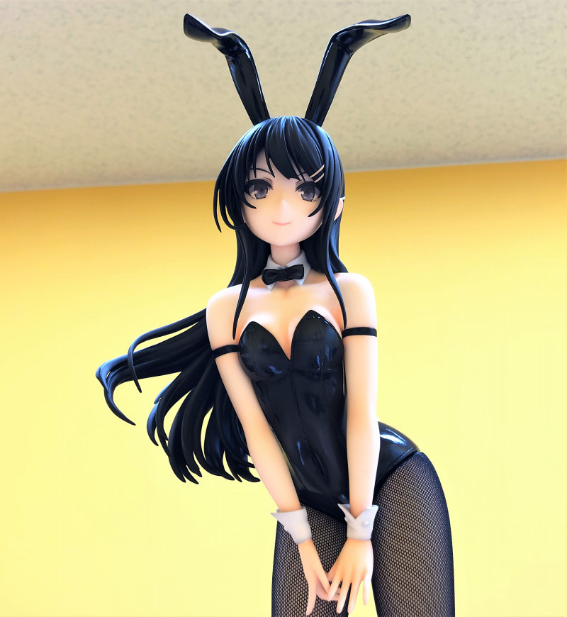 Seishun Buta Yarou wa Bunny Girl Senpai no Yume wo Minai - Sakurajima Mai - B-style - 1/4 - Bunny Ver. (FREEing) photo 14