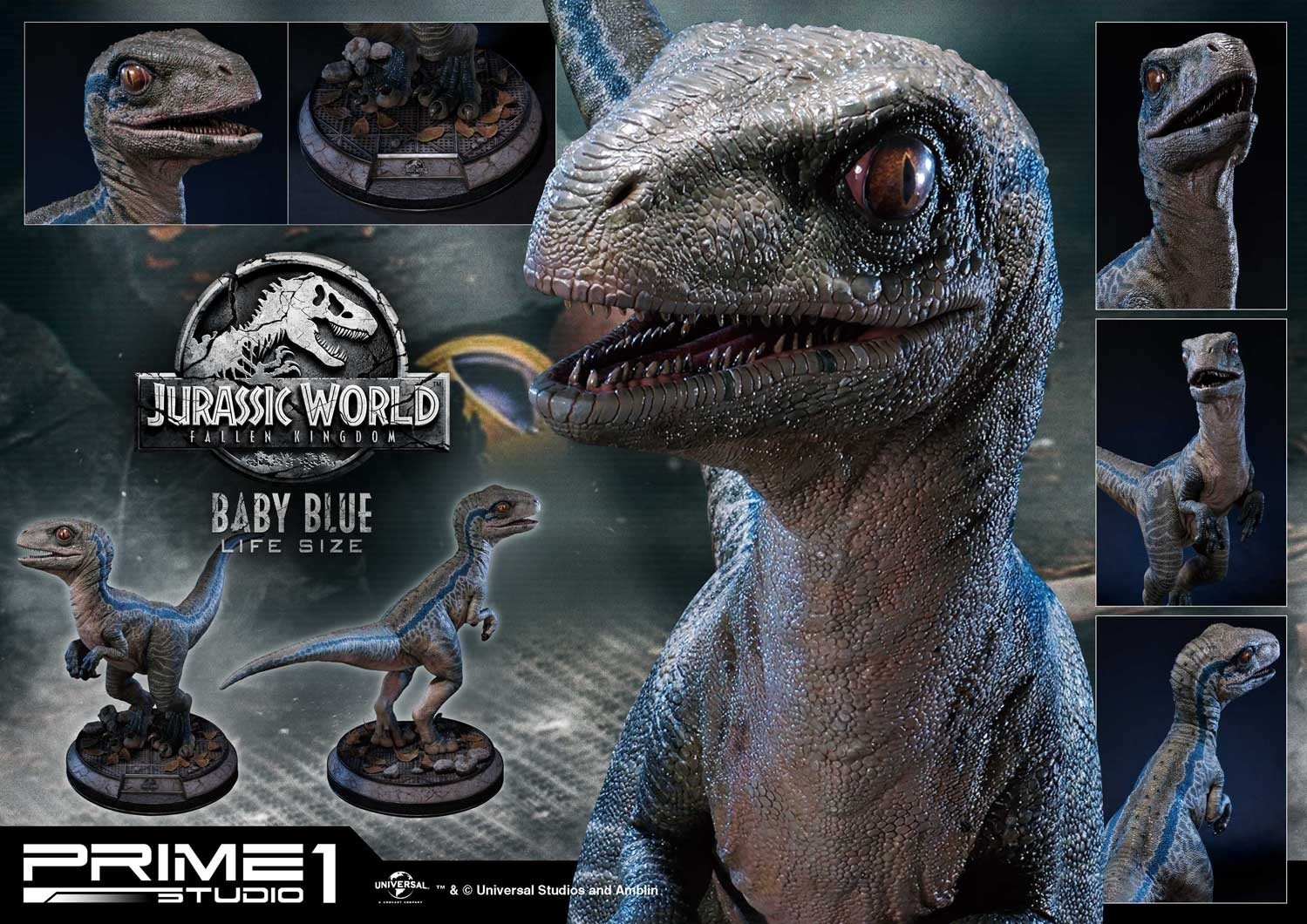 Jurassic World: Fallen Kingdom - Blue - Legacy Museum Collection  (LMCJW2-02) - 1/1 - Baby (Prime 1 Studio) photo 24