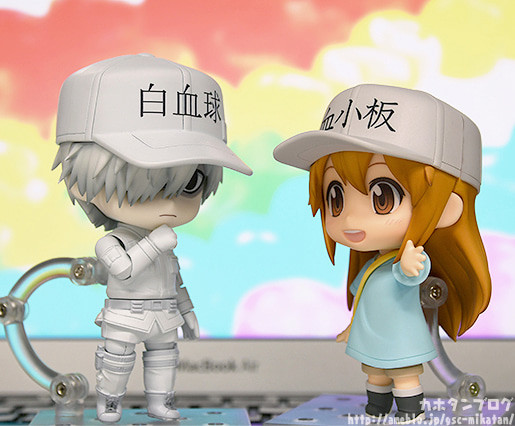 Hataraku Saibou - U-1146 - Nendoroid  (#979) (Good Smile Company) photo 34