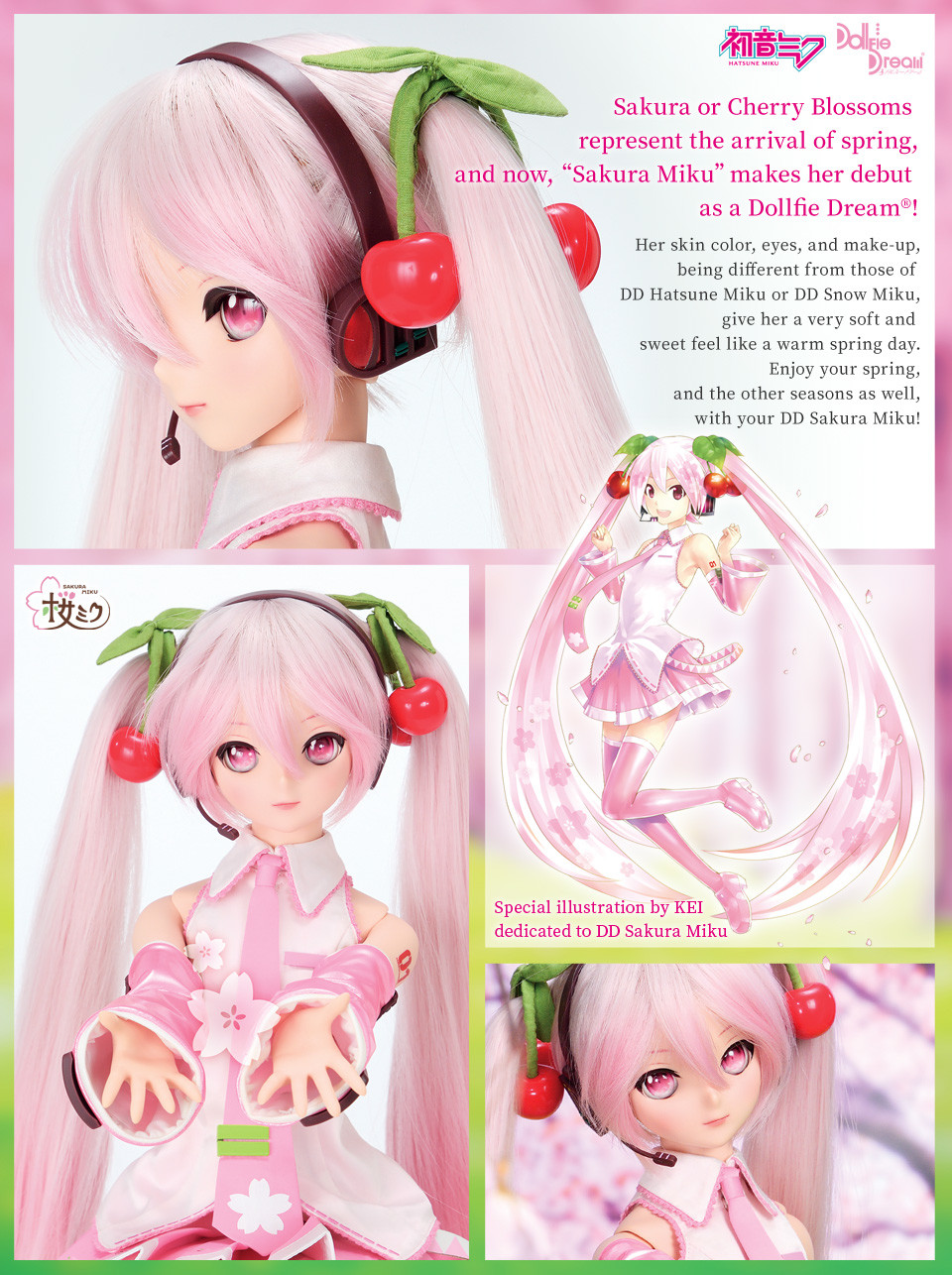 Vocaloid - Hatsune Miku - Dollfie Dream - 1/3 - Sakura (Volks) photo 8