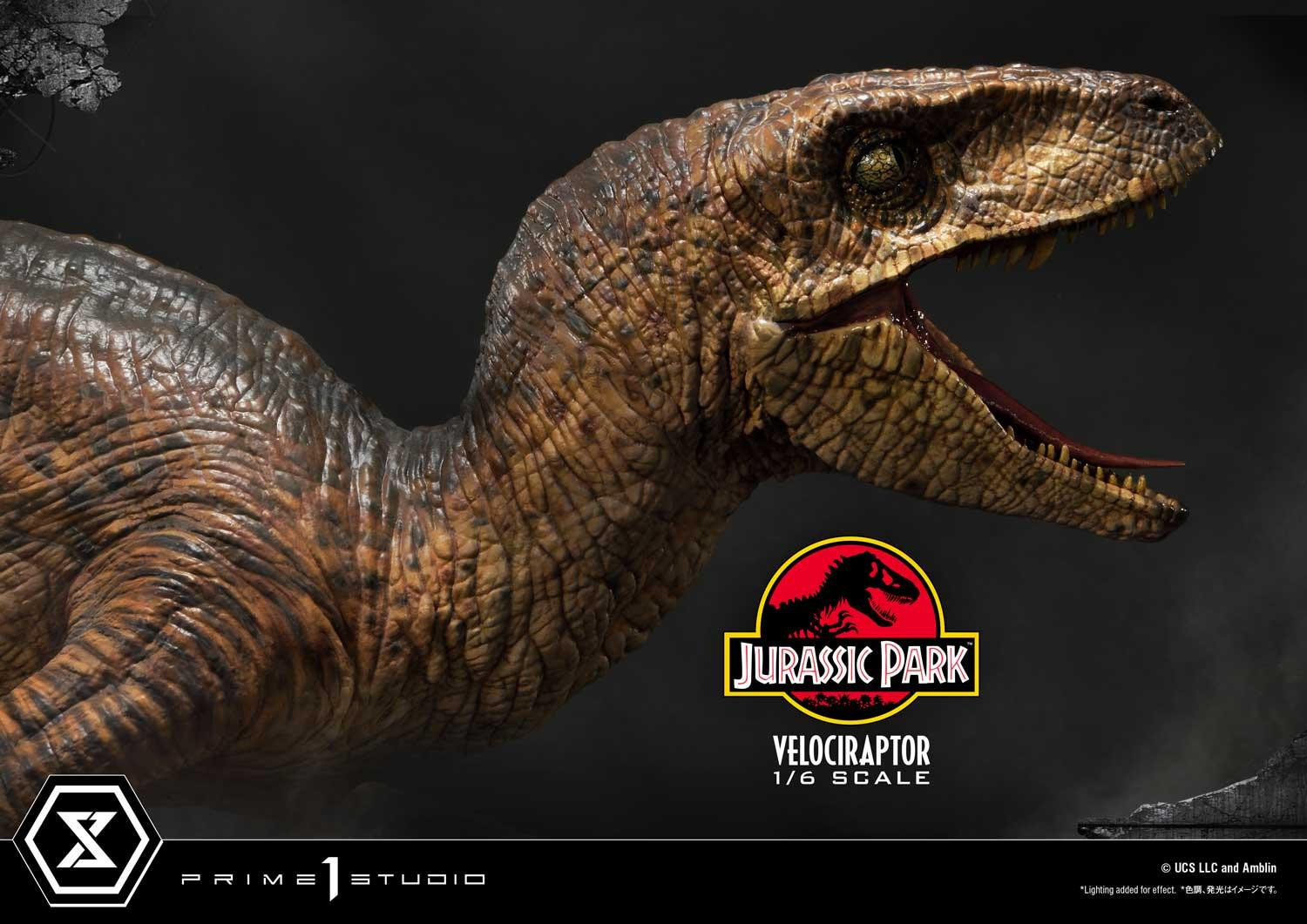 Jurassic Park - Velociraptor - Legacy Museum Collection (LMCJP-04) - 1/6 - Attack (Prime 1 Studio) photo 21