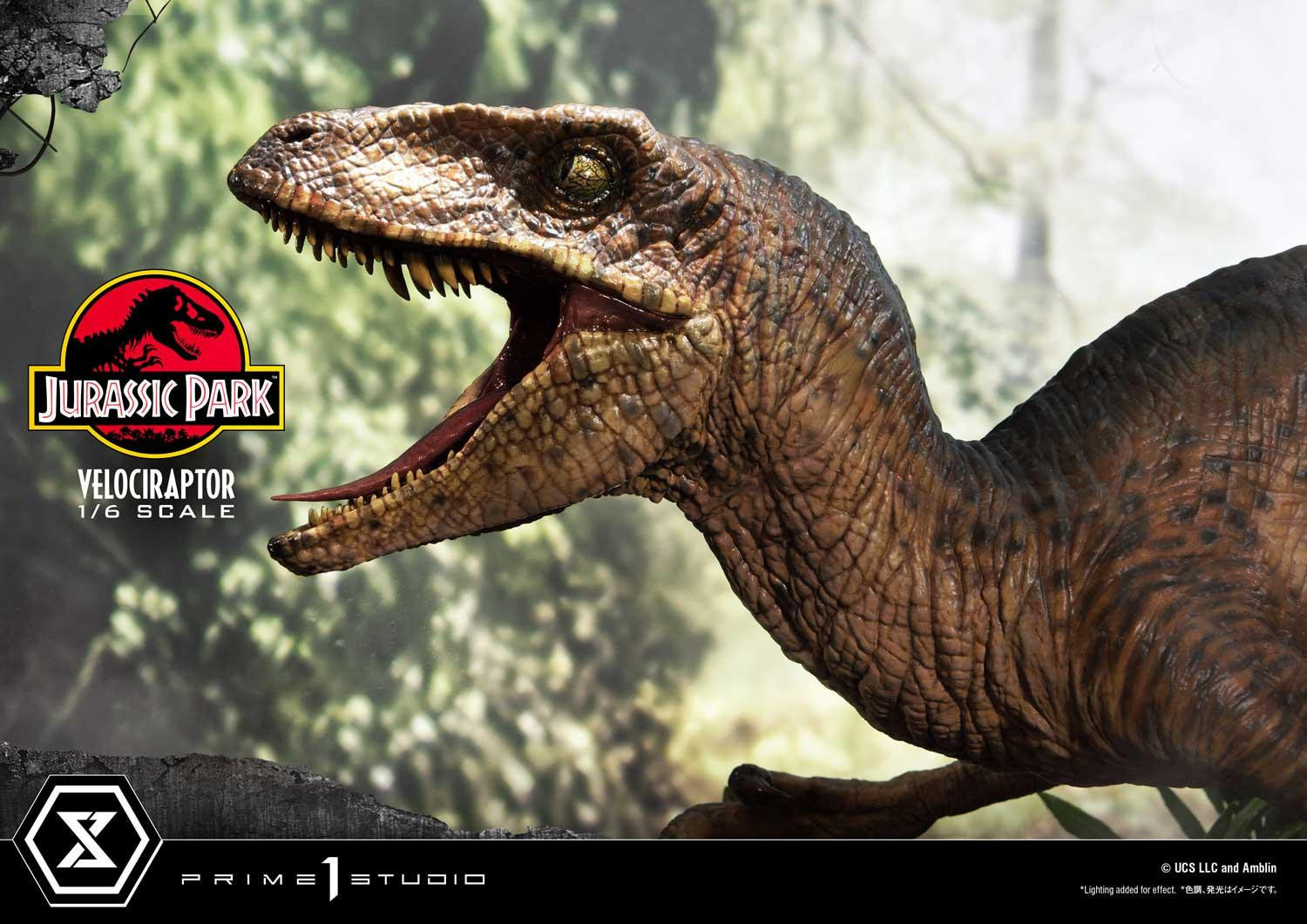 Jurassic Park - Velociraptor - Legacy Museum Collection (LMCJP-04) - 1/6 - Attack (Prime 1 Studio) photo 31