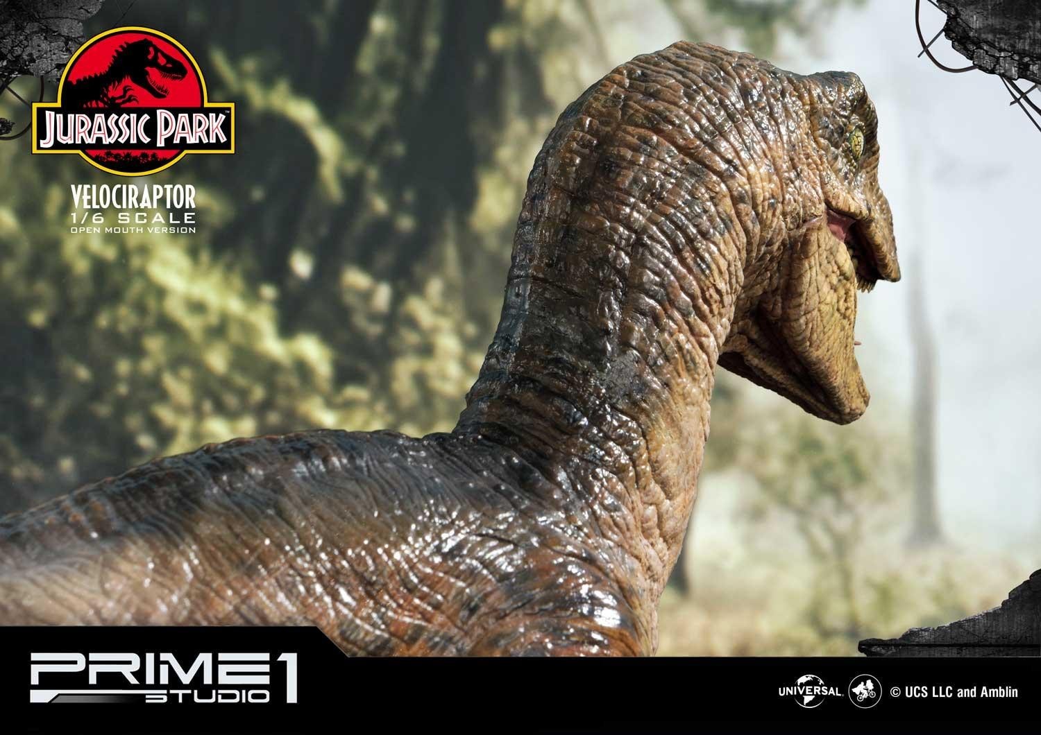 Jurassic Park - Velociraptor - Legacy Museum Collection (LMCJP-03S) - 1/6 - Open Mouth version (Prime 1 Studio) photo 4