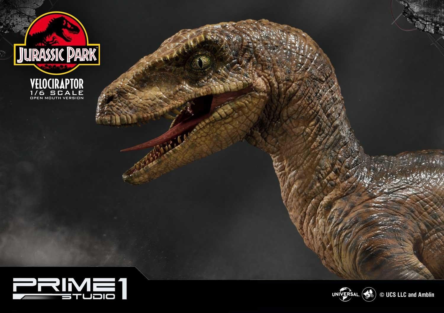 Jurassic Park - Velociraptor - Legacy Museum Collection (LMCJP-03S) - 1/6 - Open Mouth version (Prime 1 Studio) photo 7