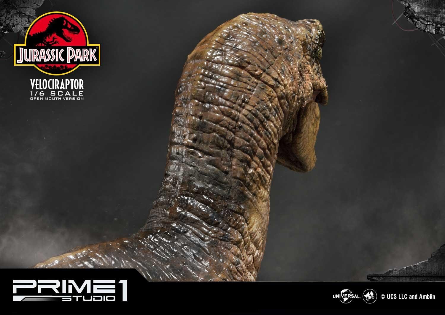 Jurassic Park - Velociraptor - Legacy Museum Collection (LMCJP-03S) - 1/6 - Open Mouth version (Prime 1 Studio) photo 8
