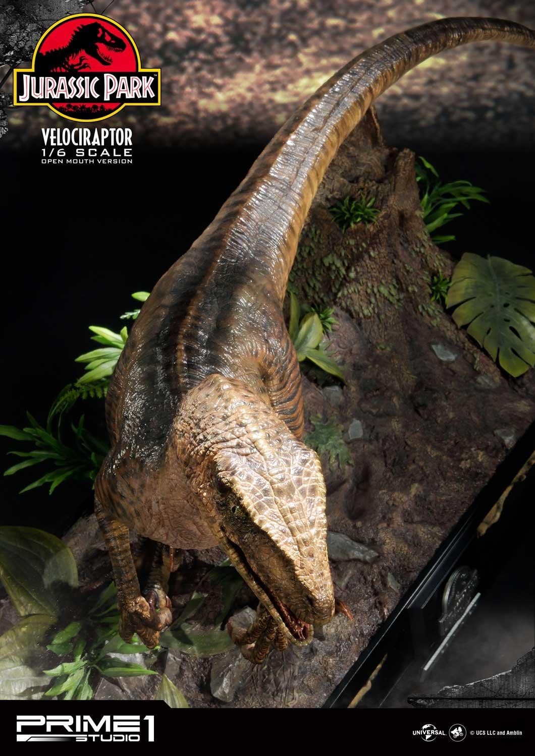 Jurassic Park - Velociraptor - Legacy Museum Collection (LMCJP-03S) - 1/6 - Open Mouth version (Prime 1 Studio) photo 14