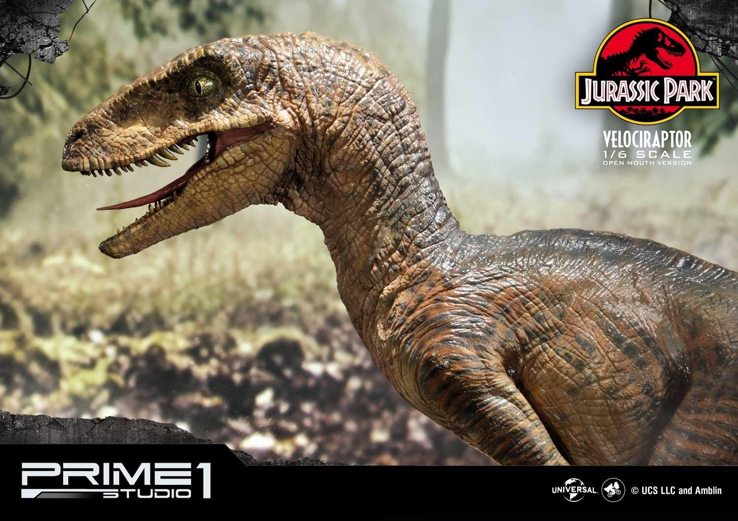 Jurassic Park - Velociraptor - Legacy Museum Collection (LMCJP-03S) - 1/6 - Open Mouth version (Prime 1 Studio) photo 16