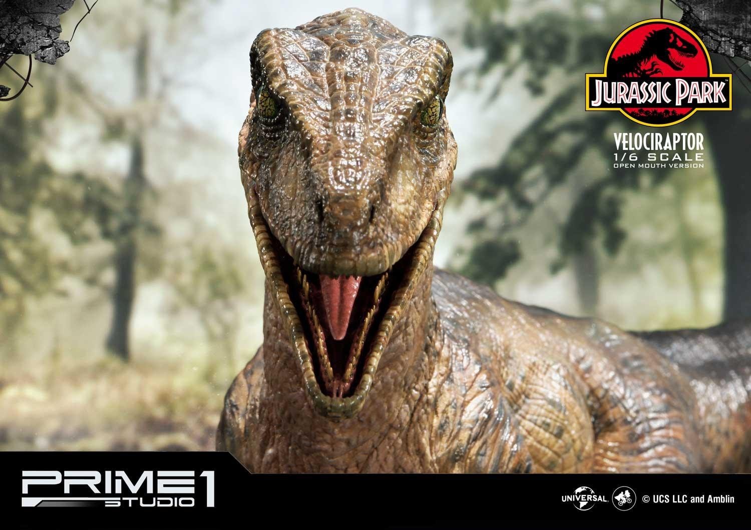 Jurassic Park - Velociraptor - Legacy Museum Collection (LMCJP-03S) - 1/6 - Open Mouth version (Prime 1 Studio) photo 18