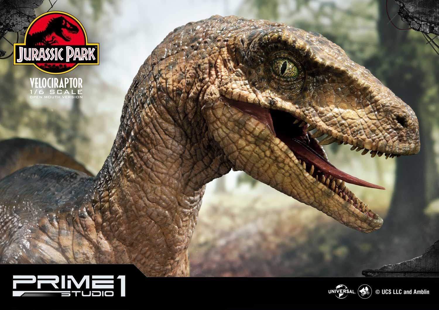 Jurassic Park - Velociraptor - Legacy Museum Collection (LMCJP-03S) - 1/6 - Open Mouth version (Prime 1 Studio) photo 19