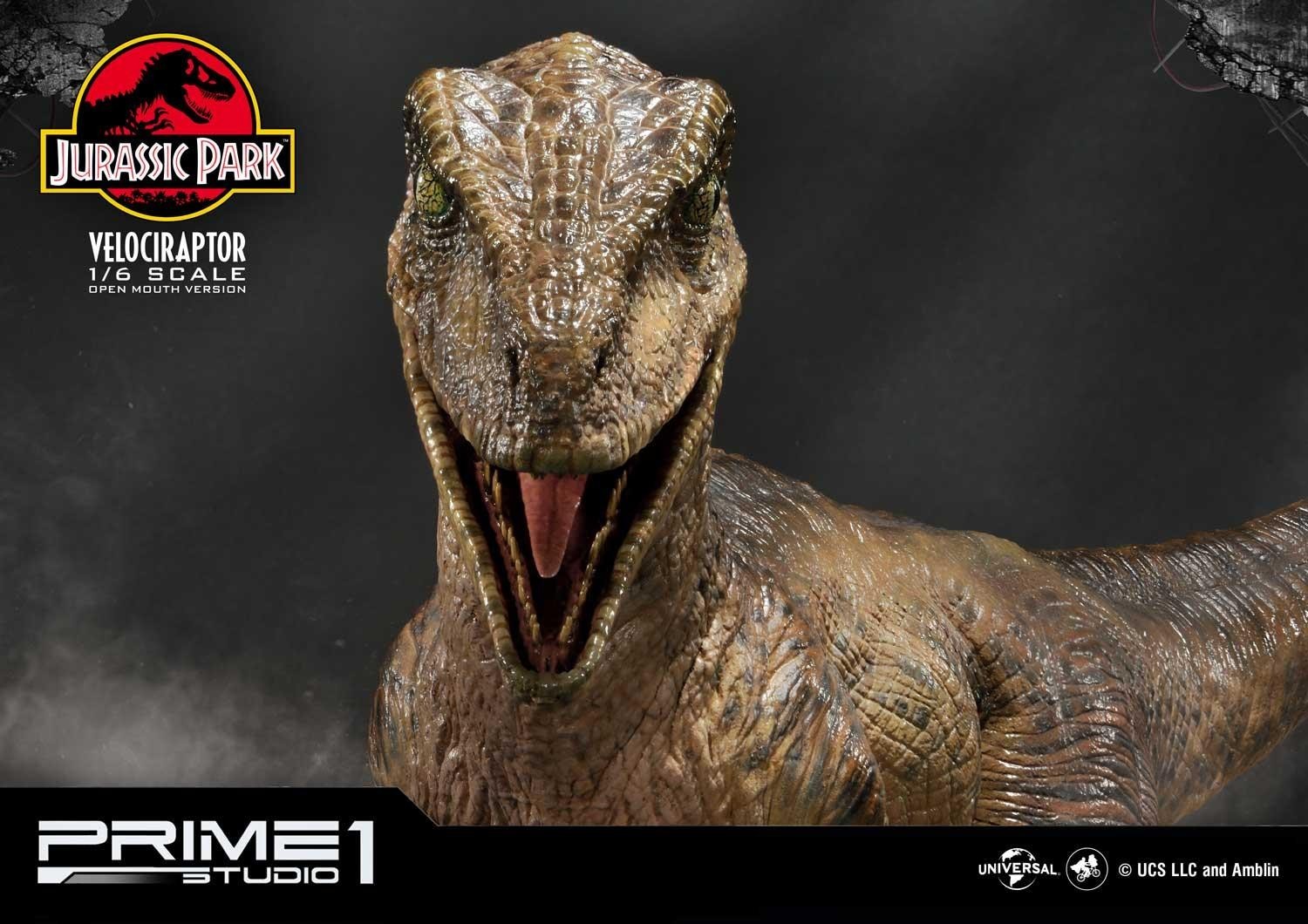 Jurassic Park - Velociraptor - Legacy Museum Collection (LMCJP-03S) - 1/6 - Open Mouth version (Prime 1 Studio) photo 20