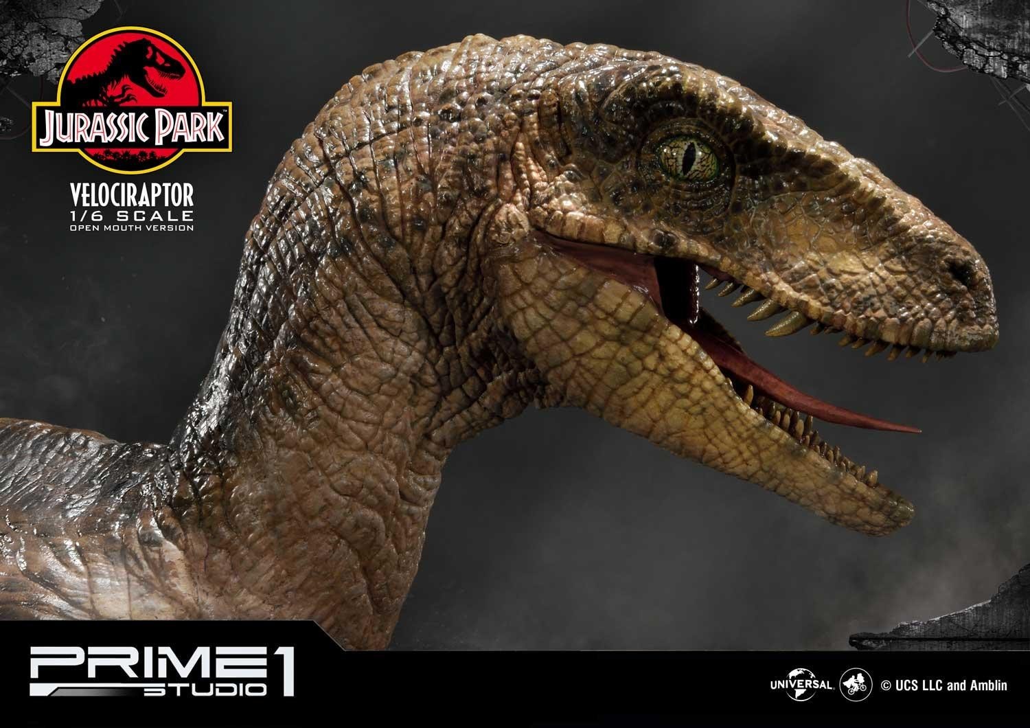 Jurassic Park - Velociraptor - Legacy Museum Collection (LMCJP-03S) - 1/6 - Open Mouth version (Prime 1 Studio) photo 21