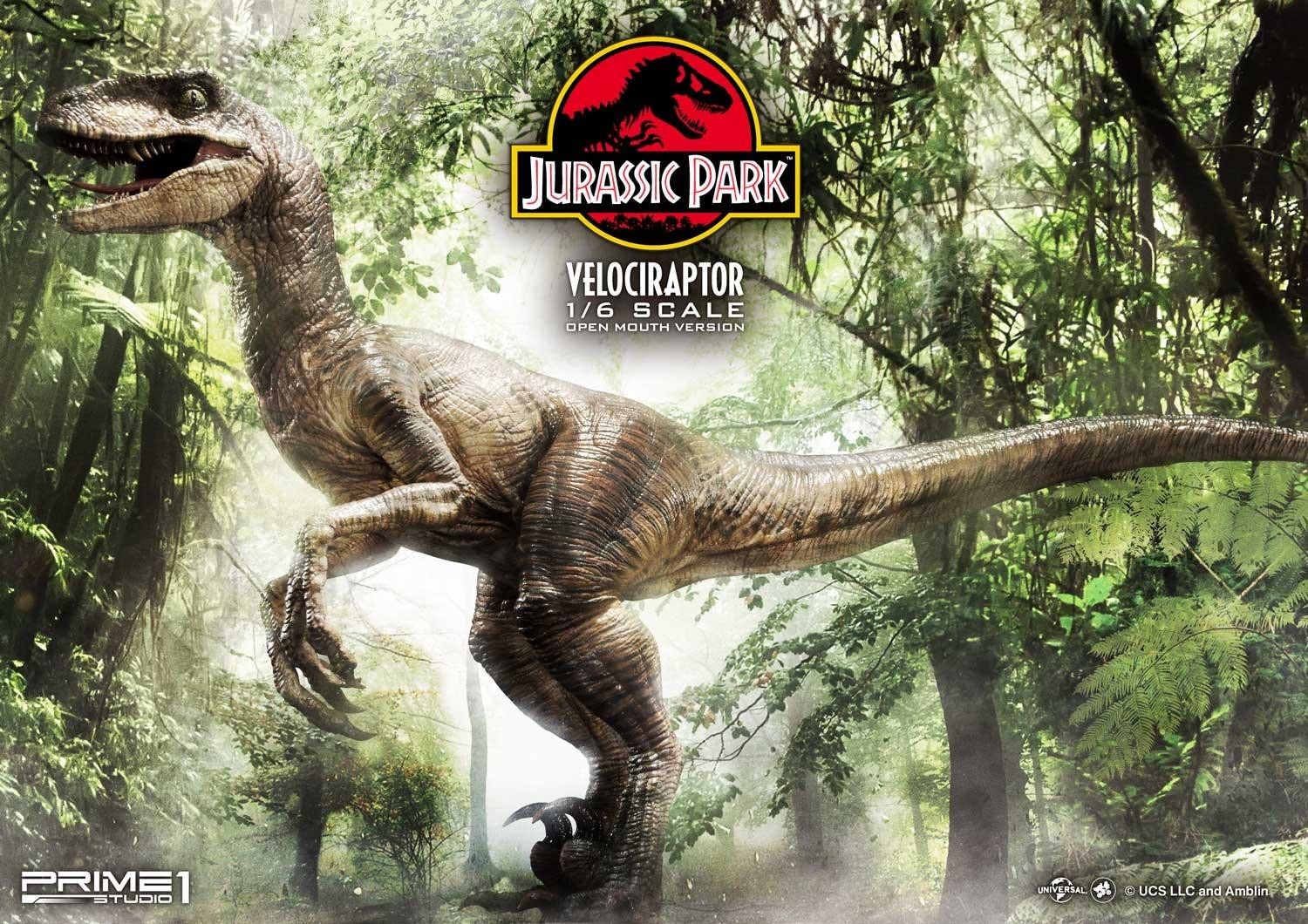 Jurassic Park - Velociraptor - Legacy Museum Collection (LMCJP-03S) - 1/6 - Open Mouth version (Prime 1 Studio) photo 22