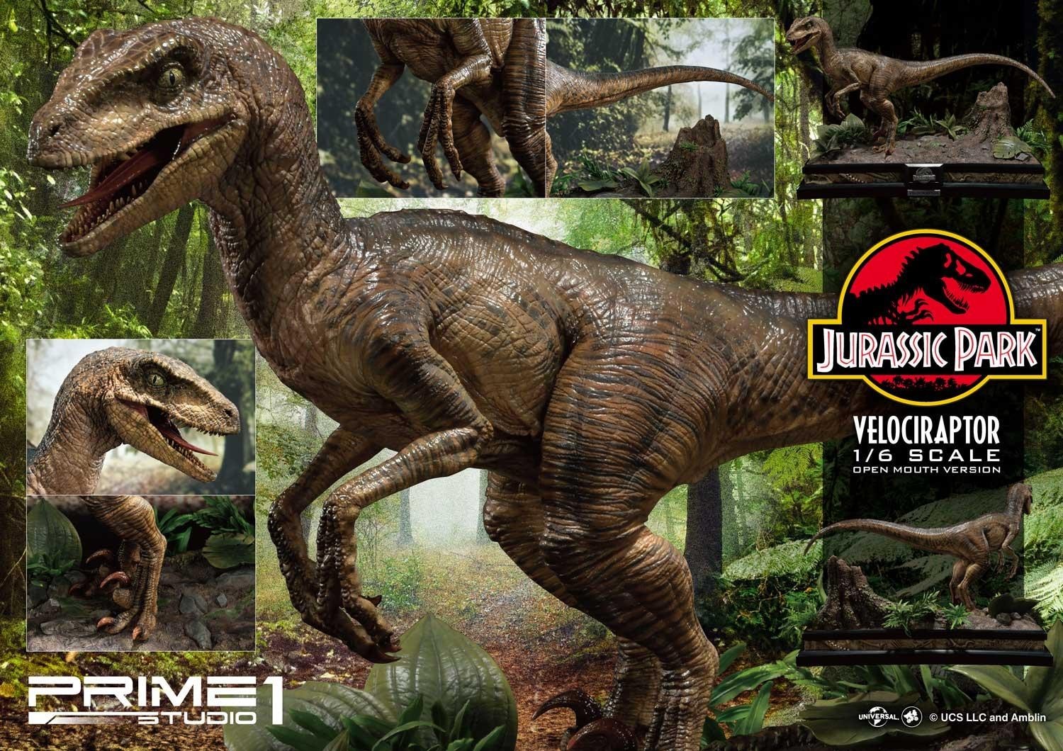 Jurassic Park - Velociraptor - Legacy Museum Collection (LMCJP-03S) - 1/6 - Open Mouth version (Prime 1 Studio) photo 26