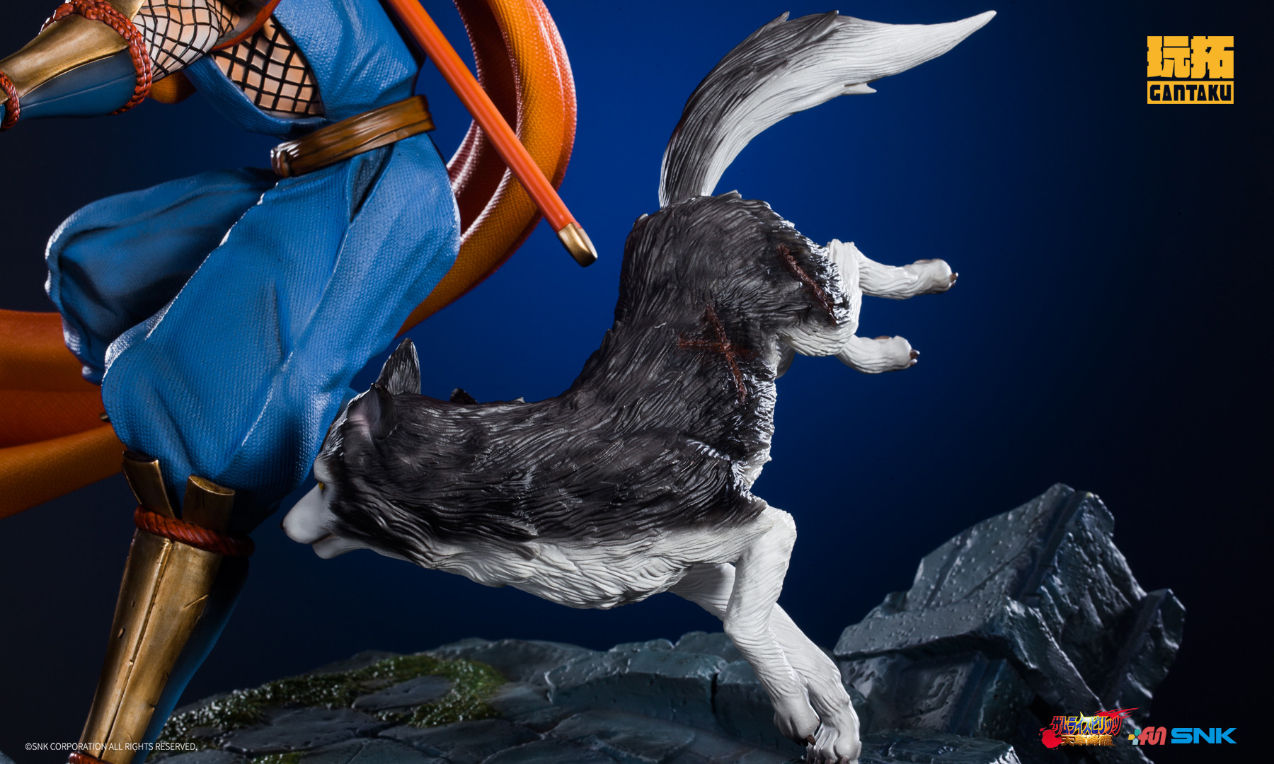 Samurai Spirits Amakusa Kourin - Galford - Poppy - 1/6 (Gantaku) photo 18