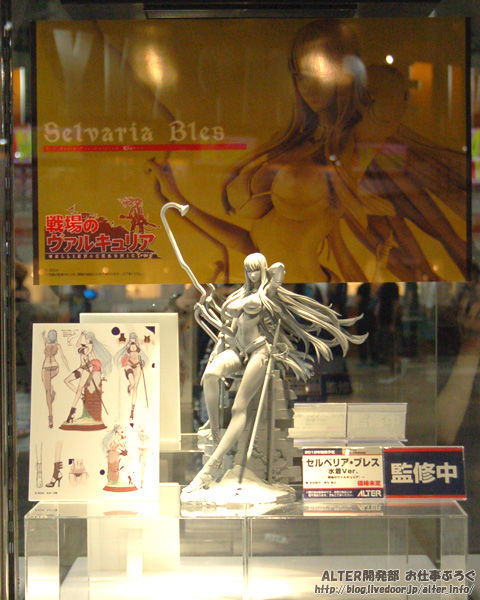 Senjou no Valkyria: Gallian Chronicles - Selvaria Bles - 1/7 - Swimsuit ver. (Alter) photo 5