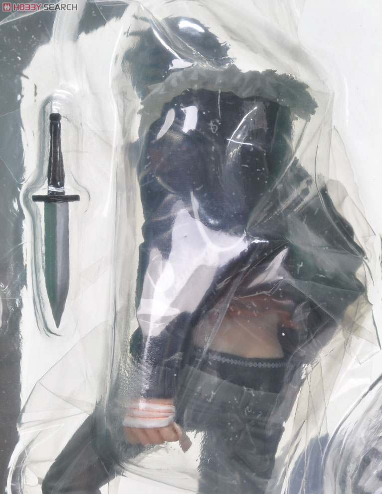 Togainu no Chi - Akira - ES Series - 1/8 (Kotobukiya) photo 8