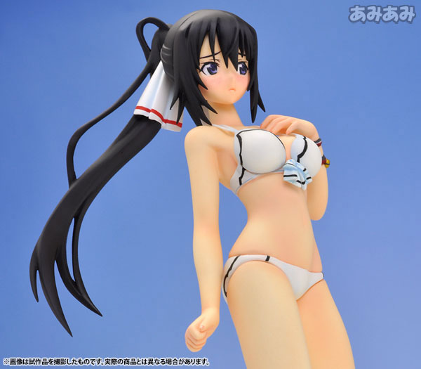 IS: Infinite Stratos - Shinonono Houki - Beach Queens - 1/10 - Swimsuit ver. (Wave) photo 6