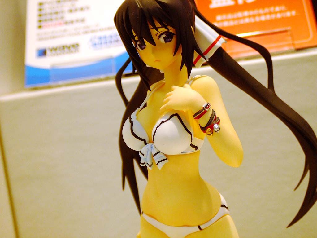 IS: Infinite Stratos - Shinonono Houki - Beach Queens - 1/10 - Swimsuit ver. (Wave) photo 7