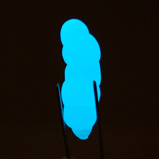 Kinnikuman - Satan Cross Parasite - SpiceSeed Kinnikuman Series - Glowing Ver. (SpiceSeed) photo 2